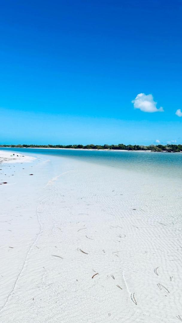 Kin Studios Holbox