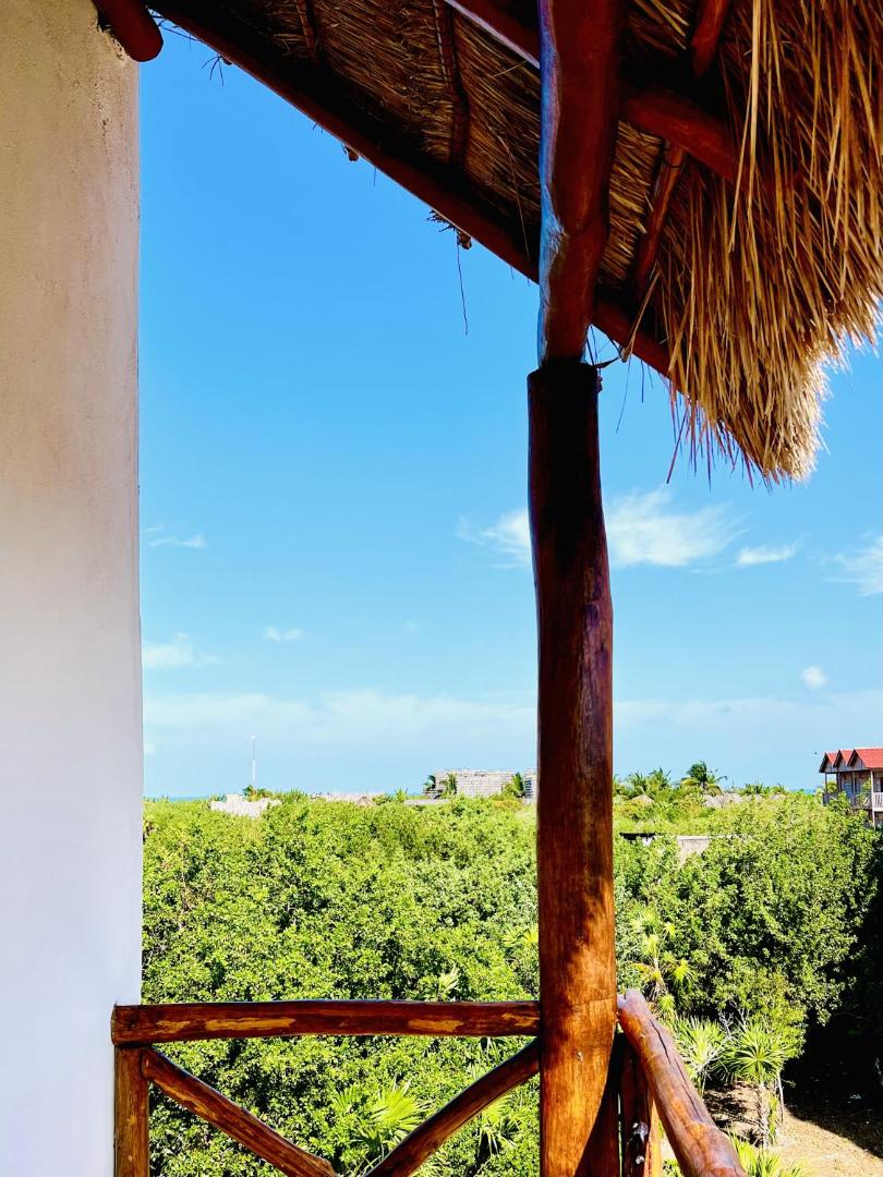 Kin Studios Holbox