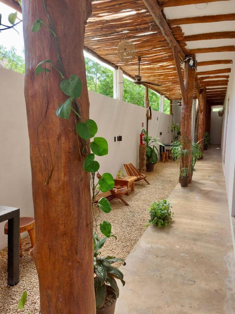 Kin Studios Holbox