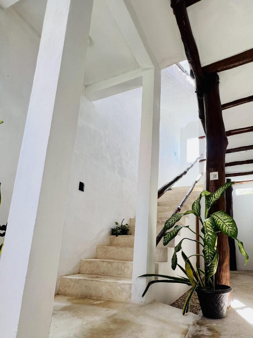 Kin Studios Holbox