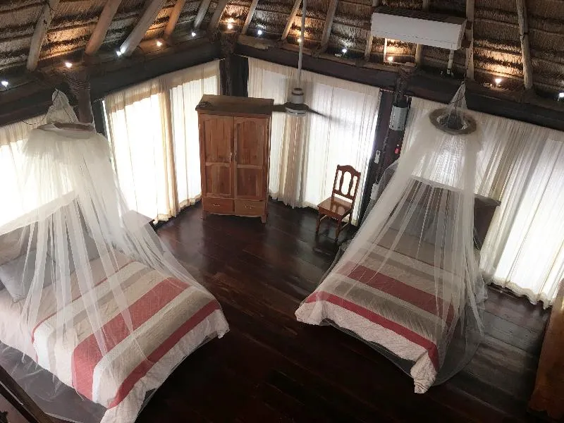 Rhincodon Typus Glamping