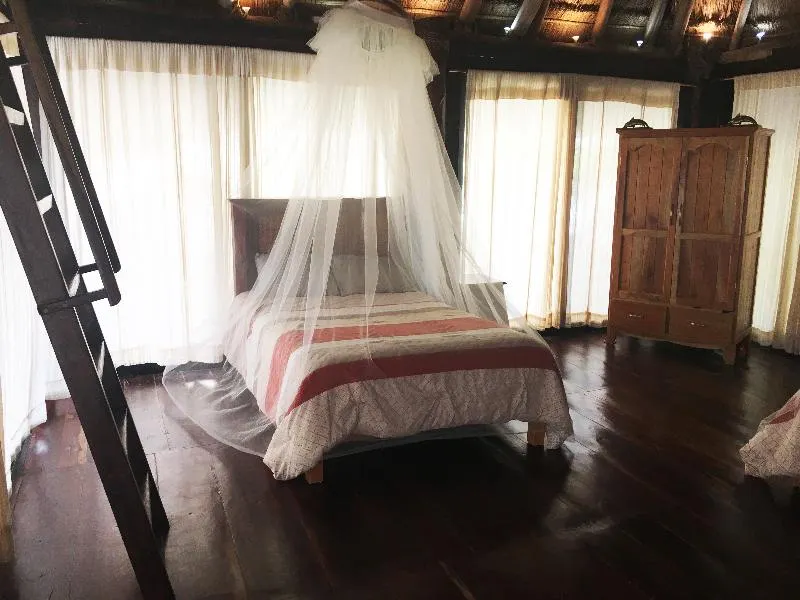 Rhincodon Typus Glamping