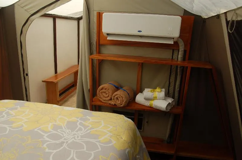 Rhincodon Typus Glamping