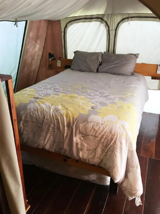 Rhincodon Typus Glamping