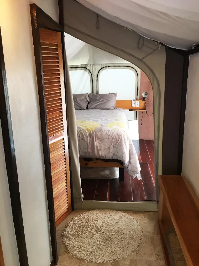 Rhincodon Typus Glamping