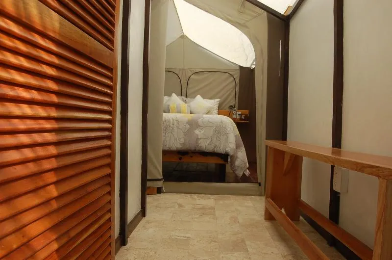 Rhincodon Typus Glamping