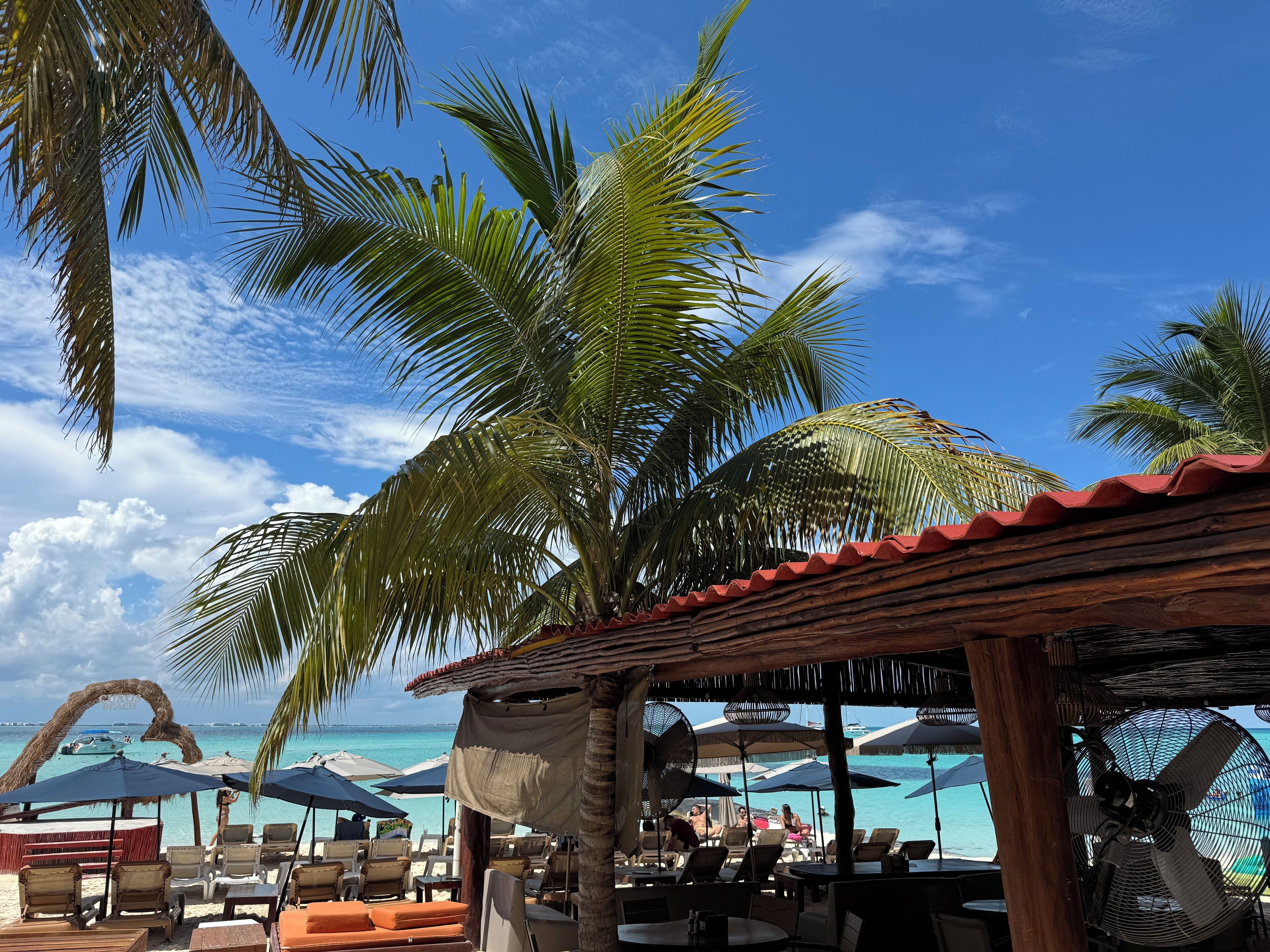 Chichis and Charlies