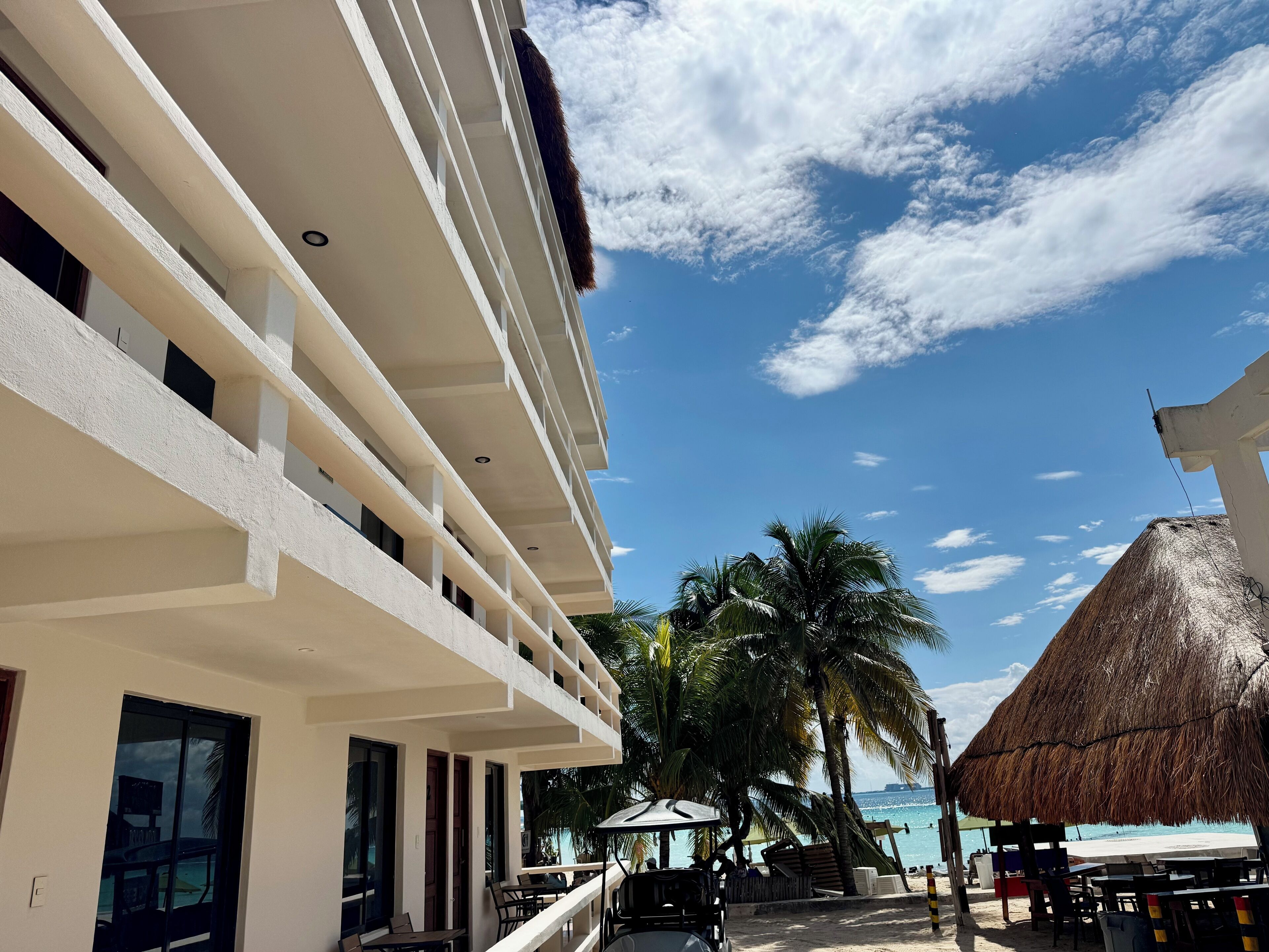 Chichis and Charlies