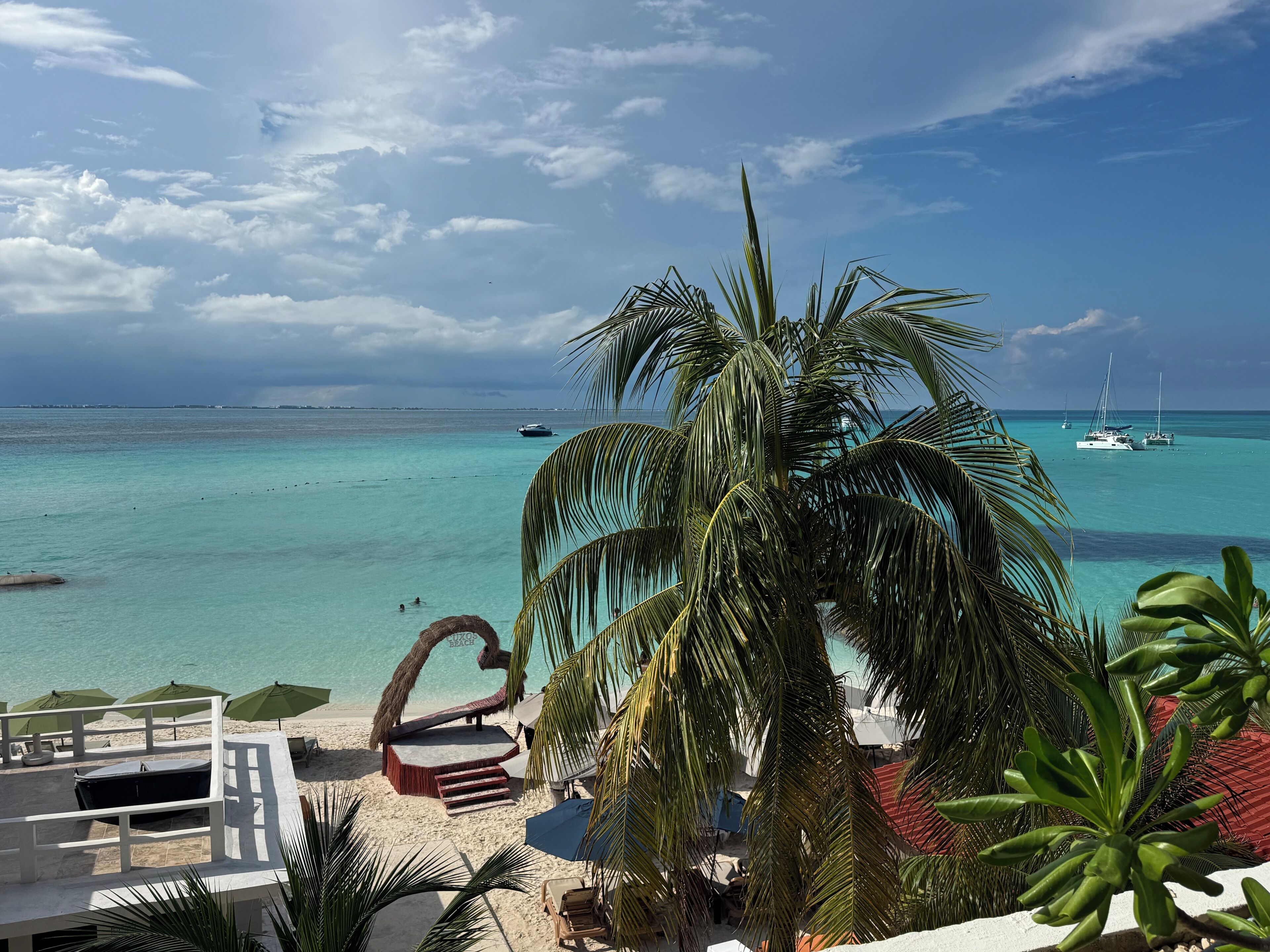 Chichis and Charlies