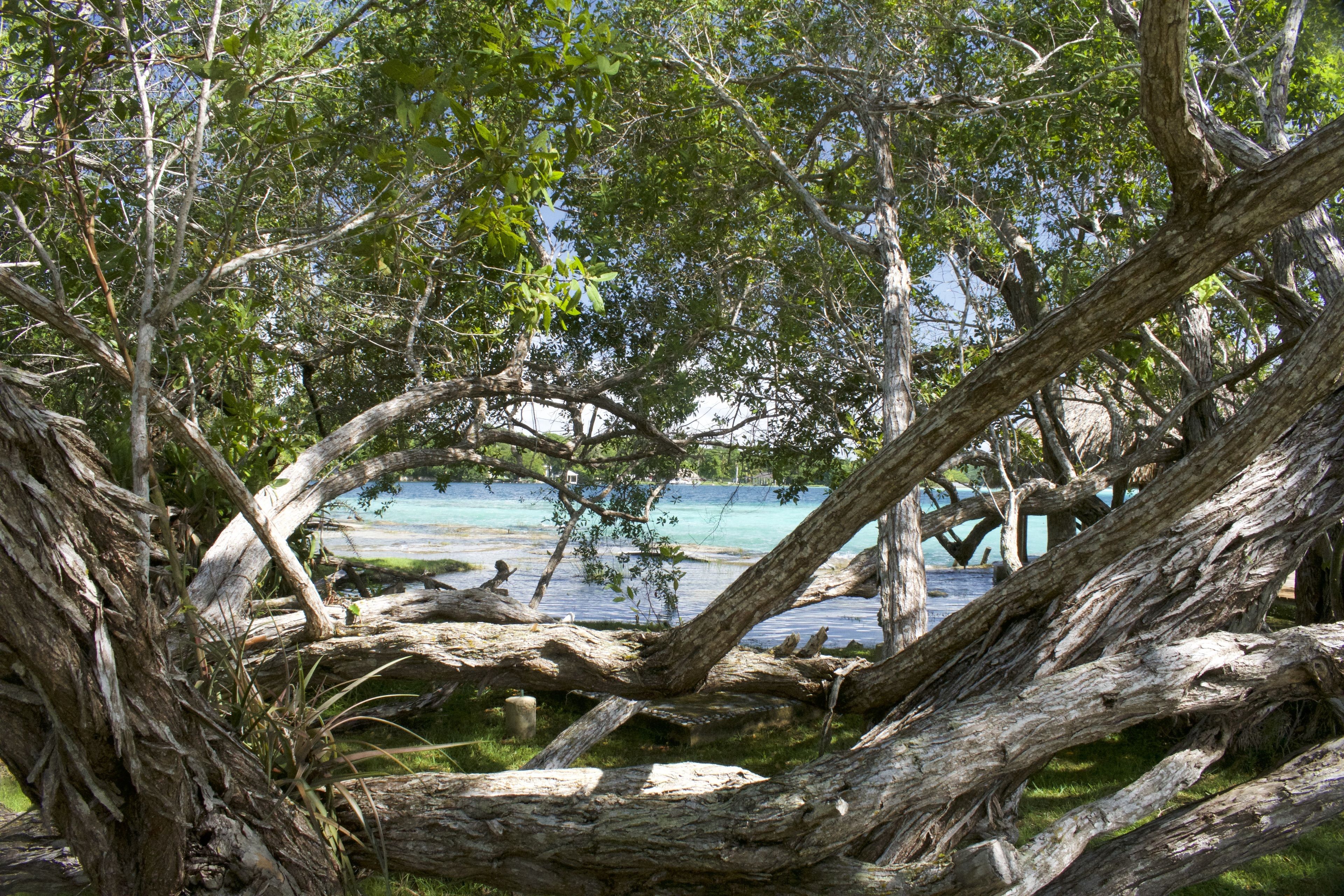 Azulea Bacalar Hotel & Spa