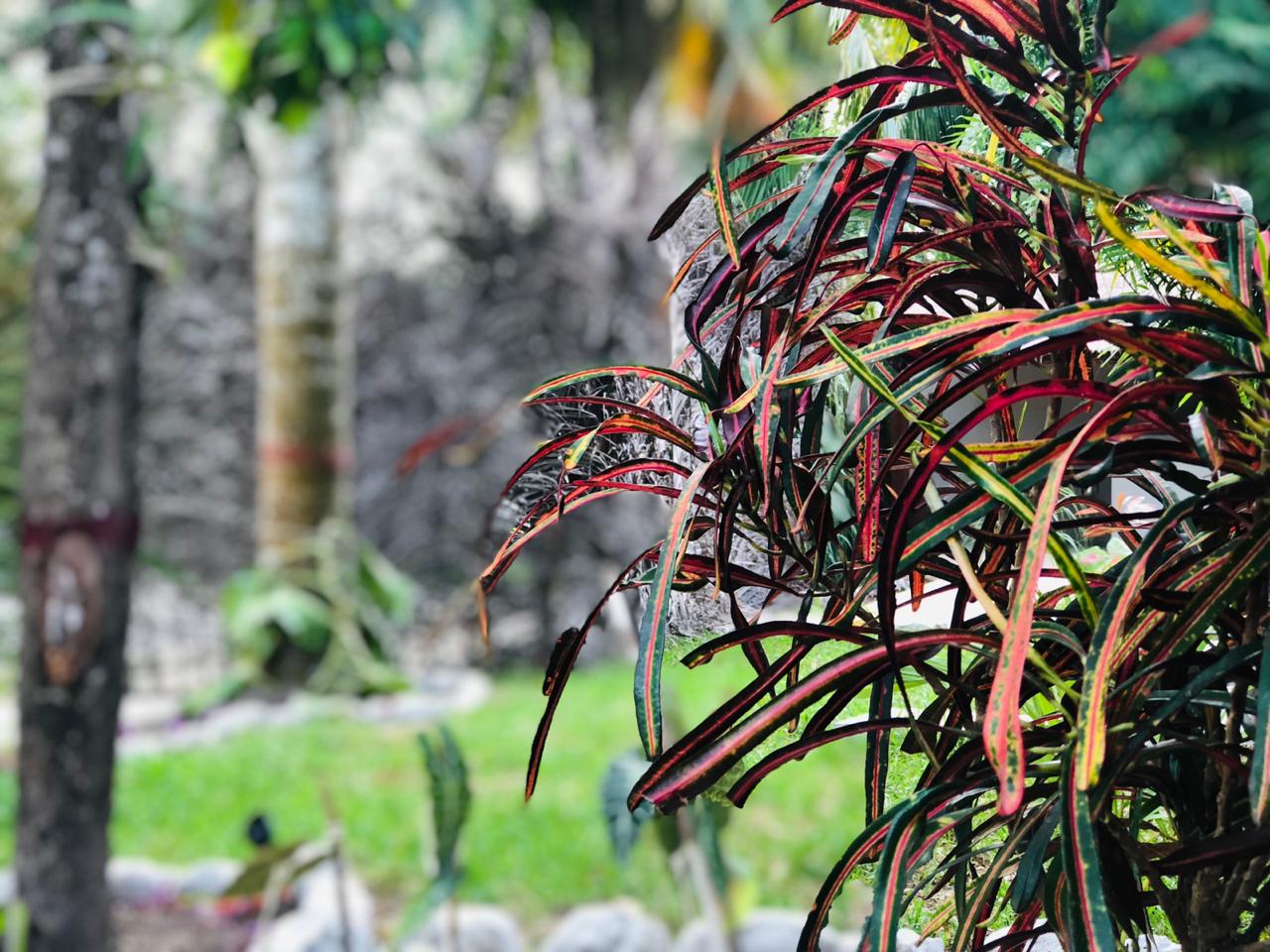 Tierra Maya Hotel Spa & Sanctuary