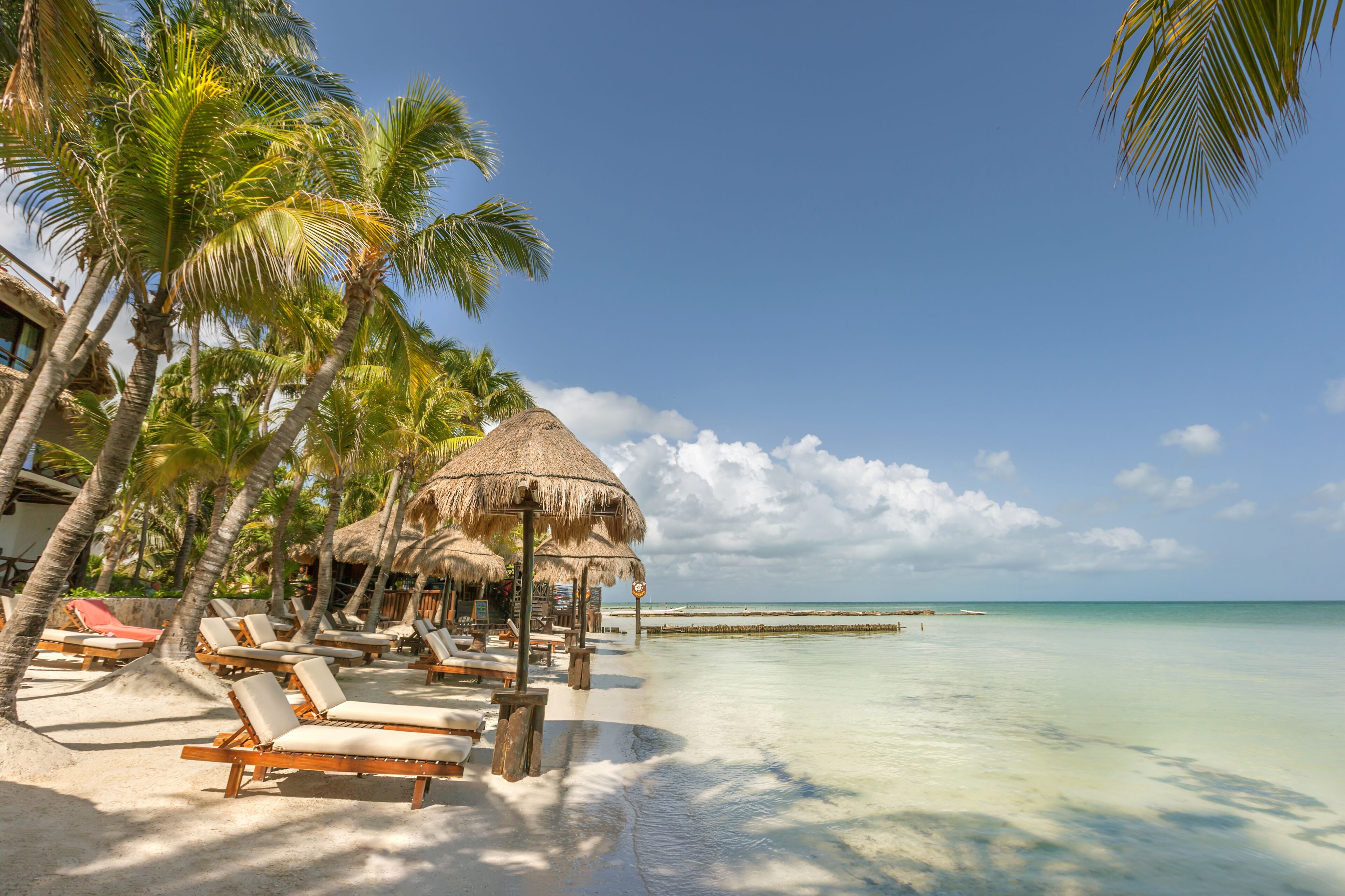 Beachfront Hotel La Palapa