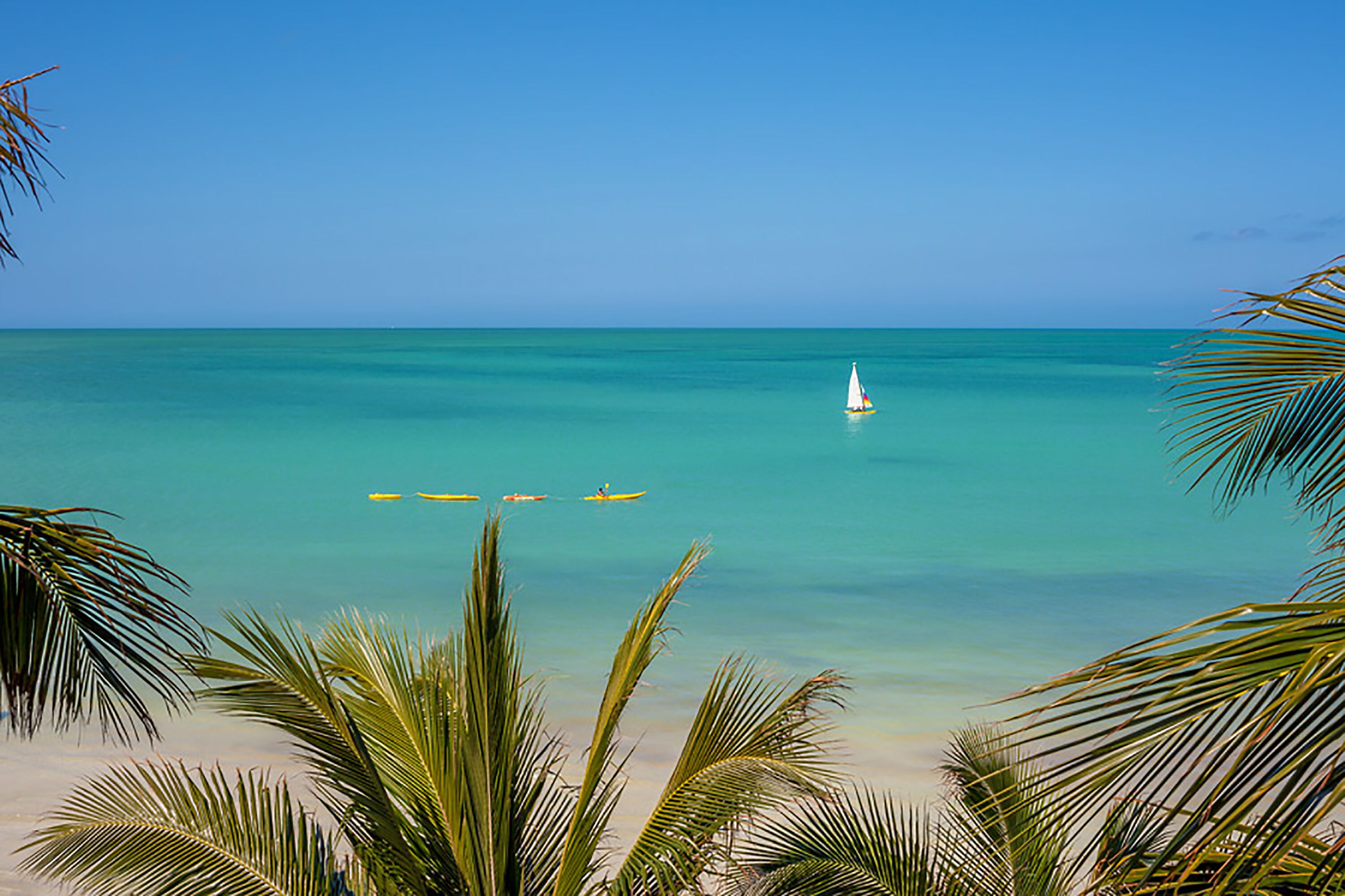 Beachfront Hotel La Palapa