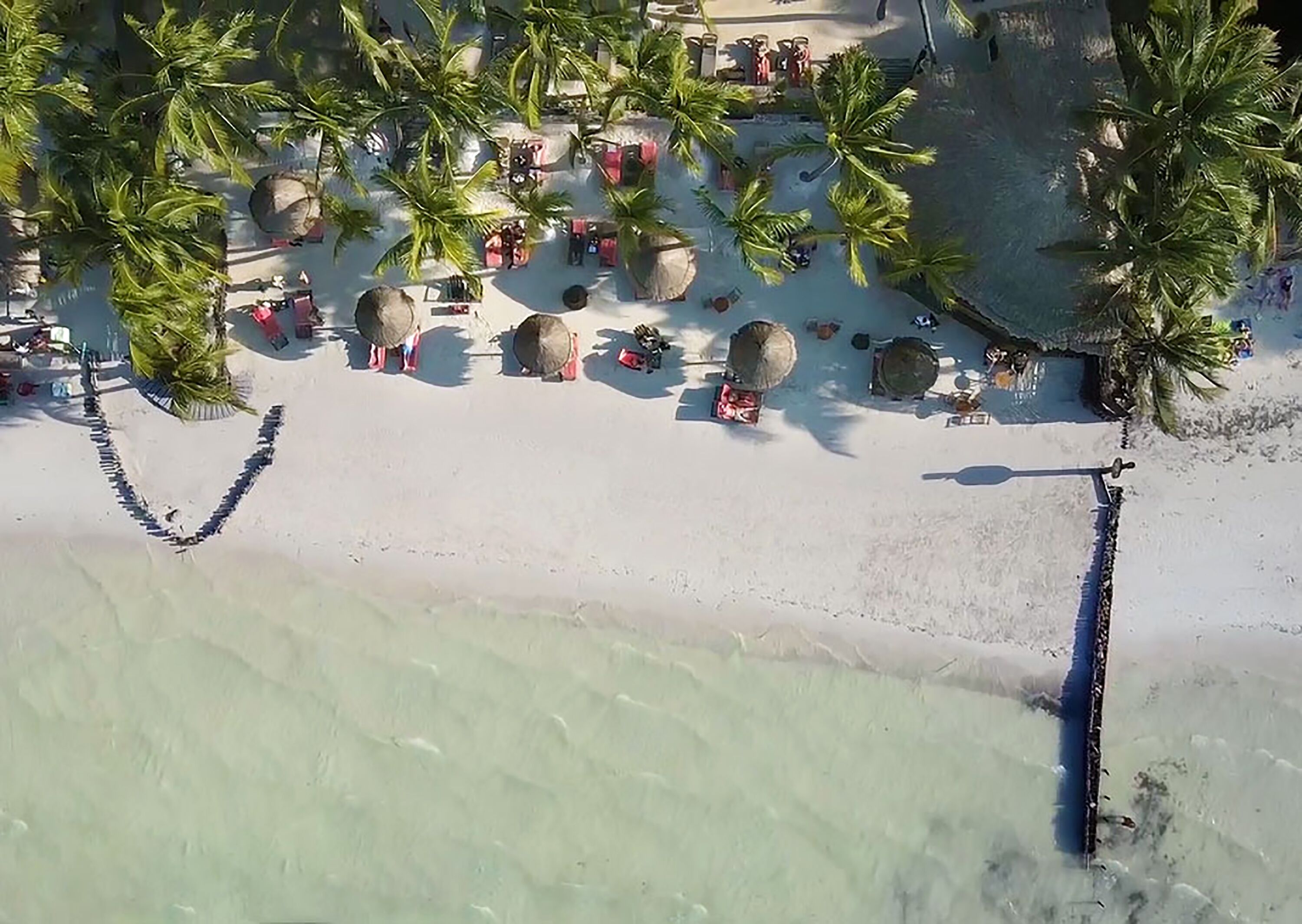 Beachfront Hotel La Palapa