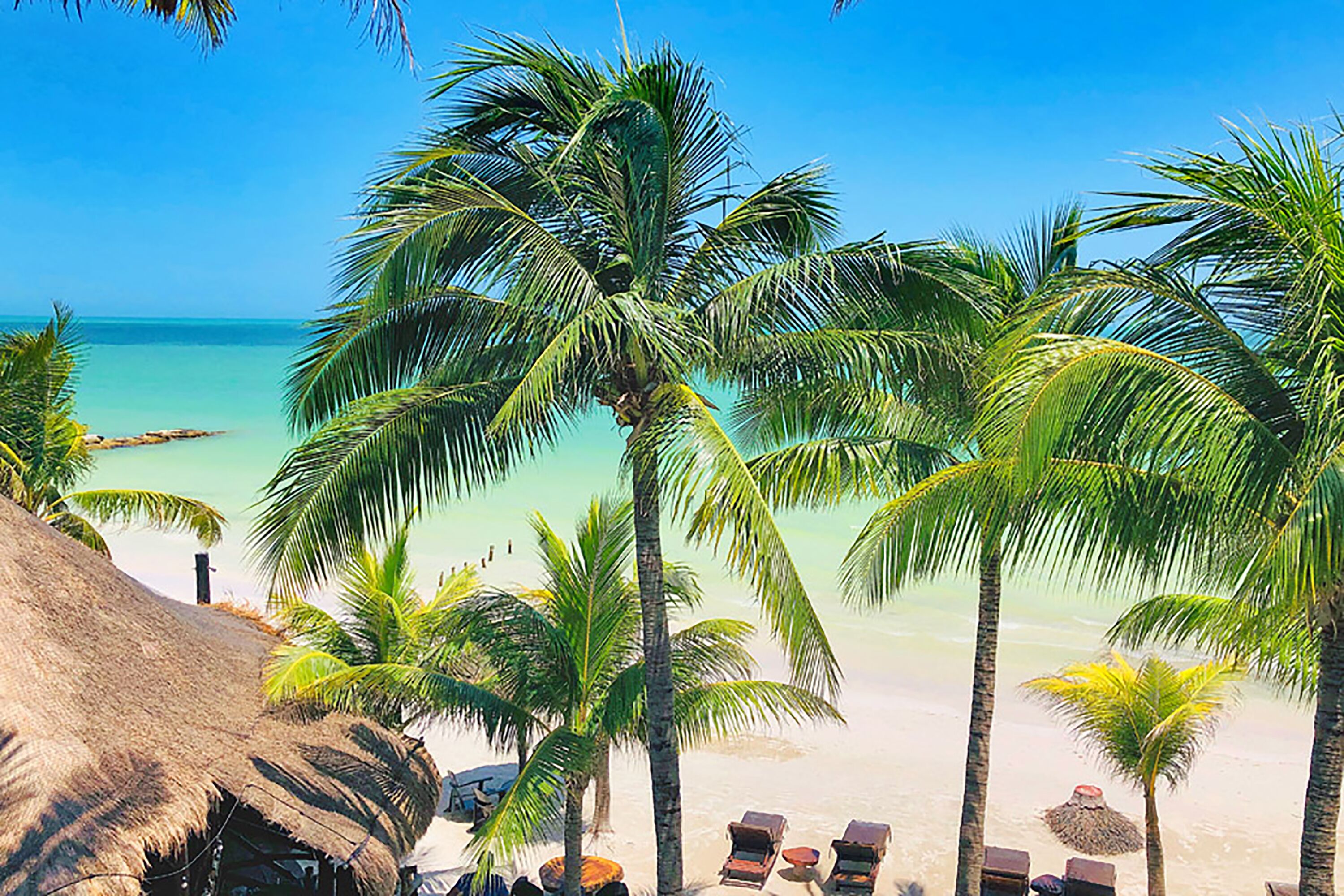 Beachfront Hotel La Palapa