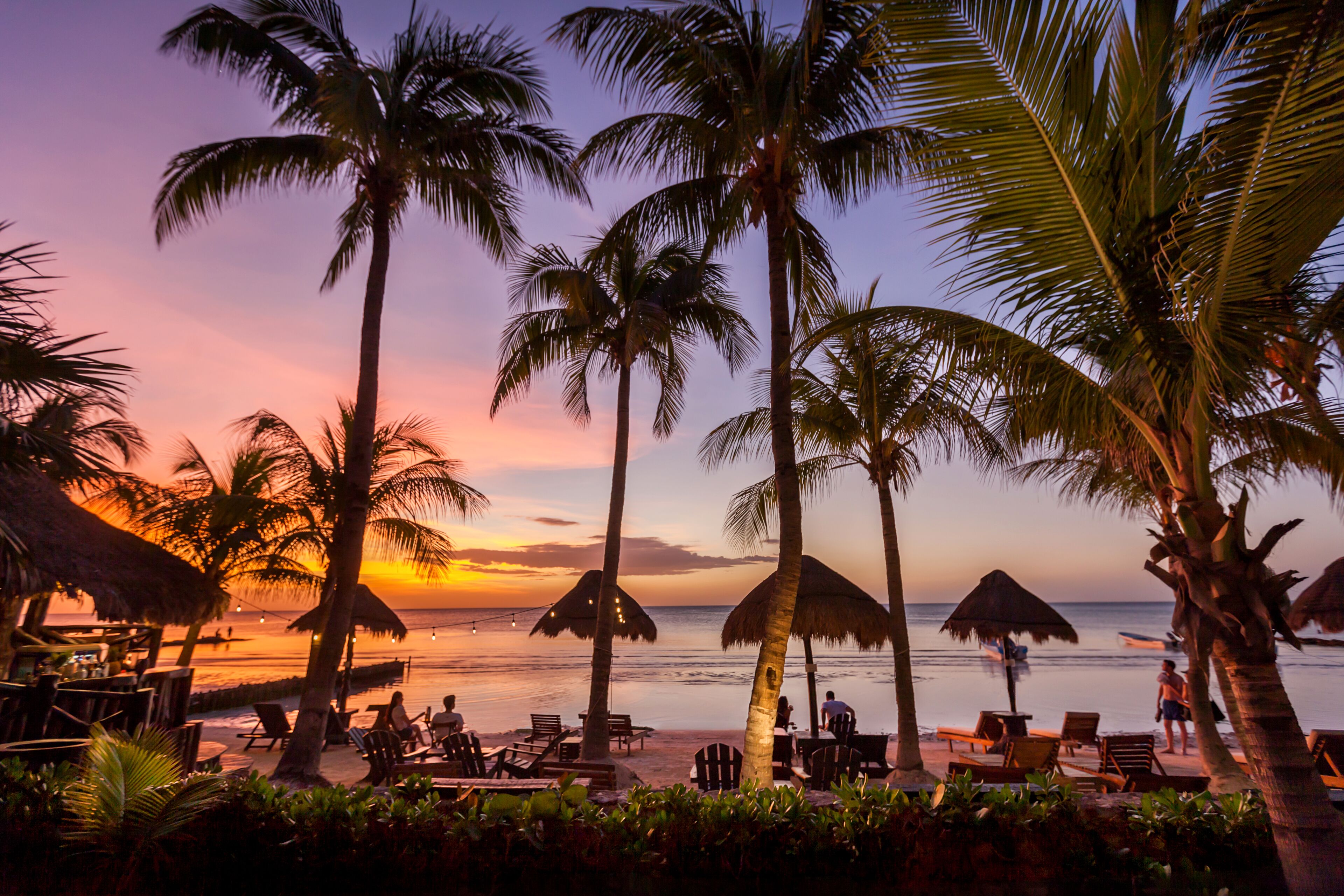 Beachfront Hotel La Palapa