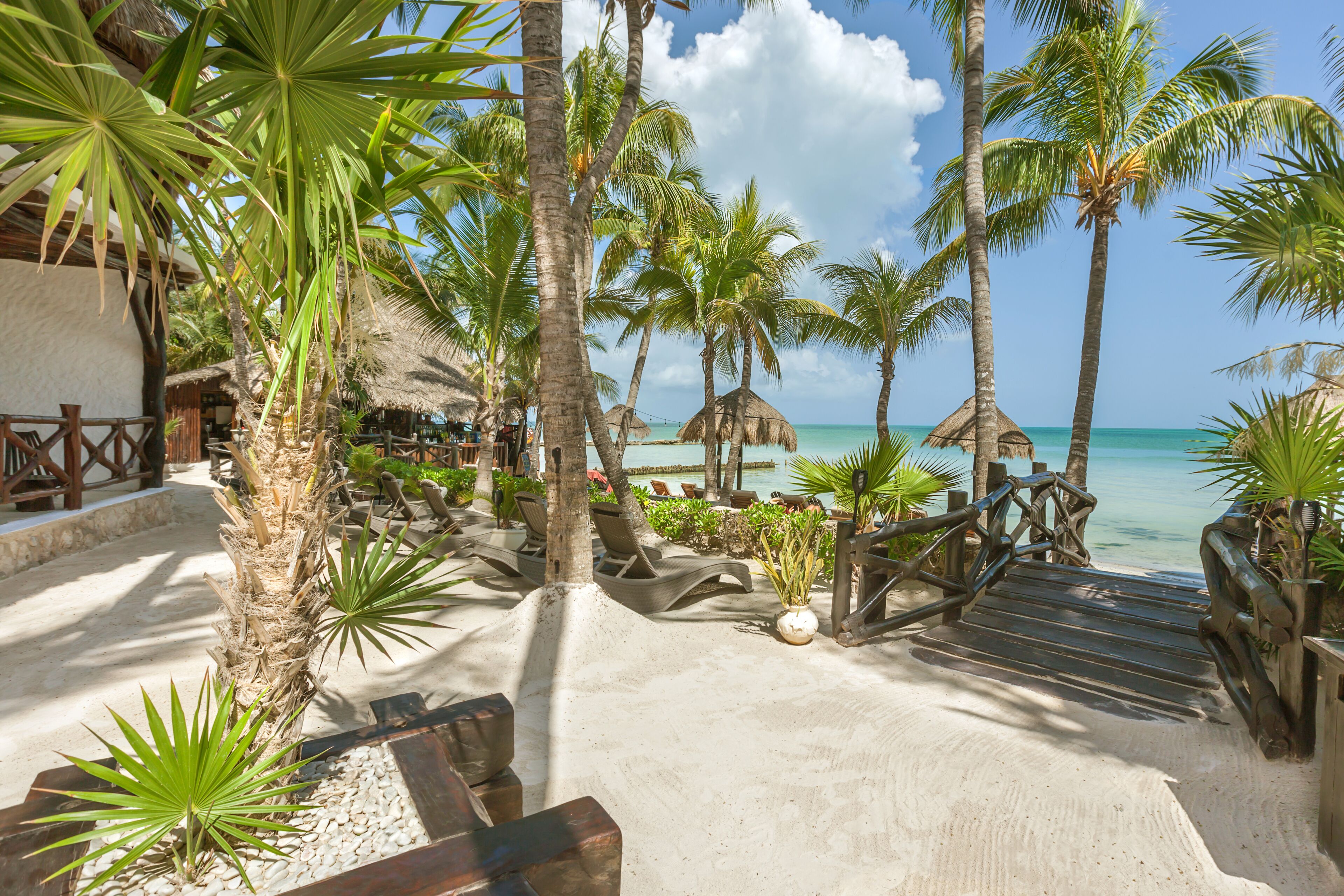 Beachfront Hotel La Palapa
