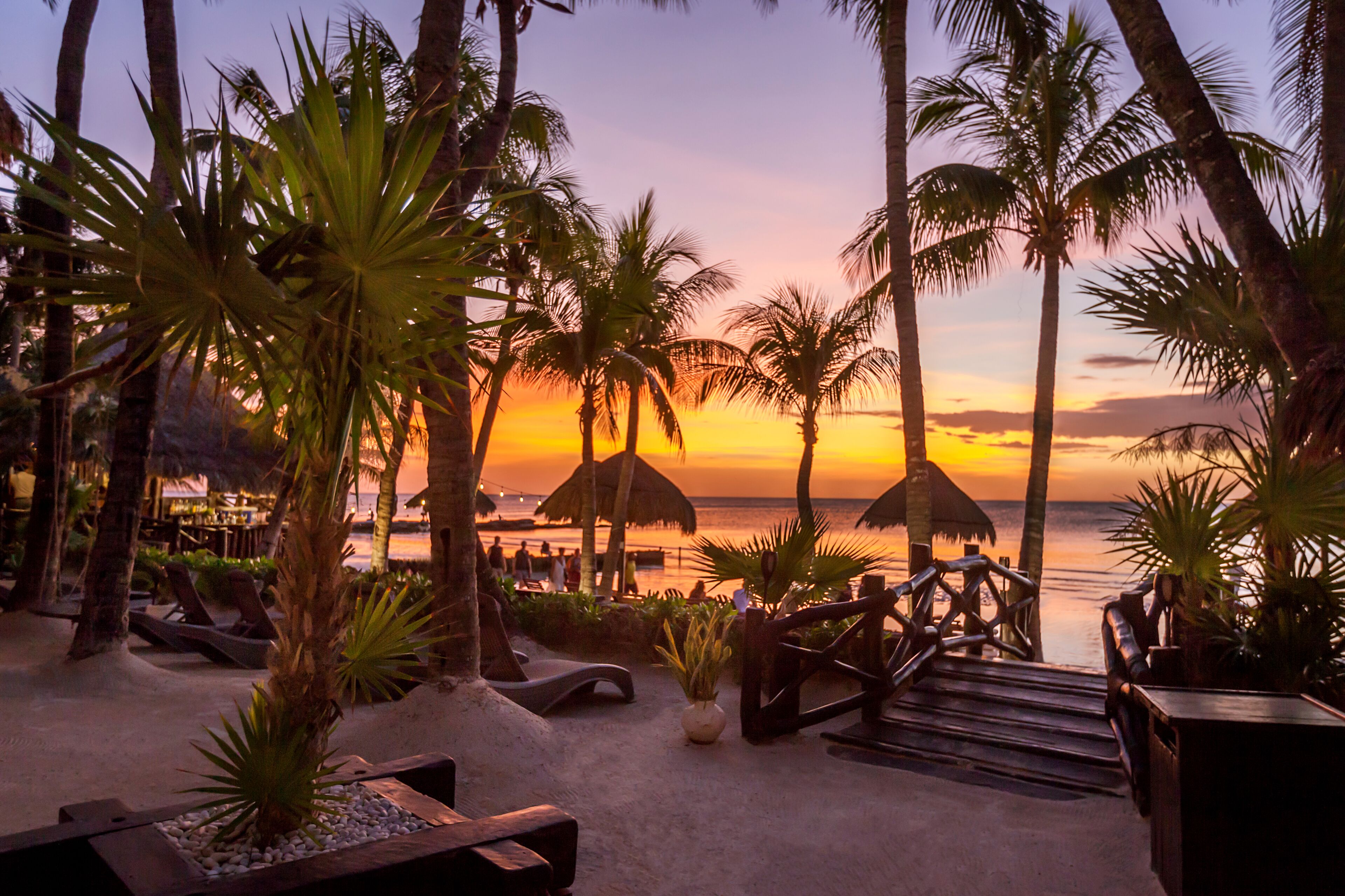 Beachfront Hotel La Palapa