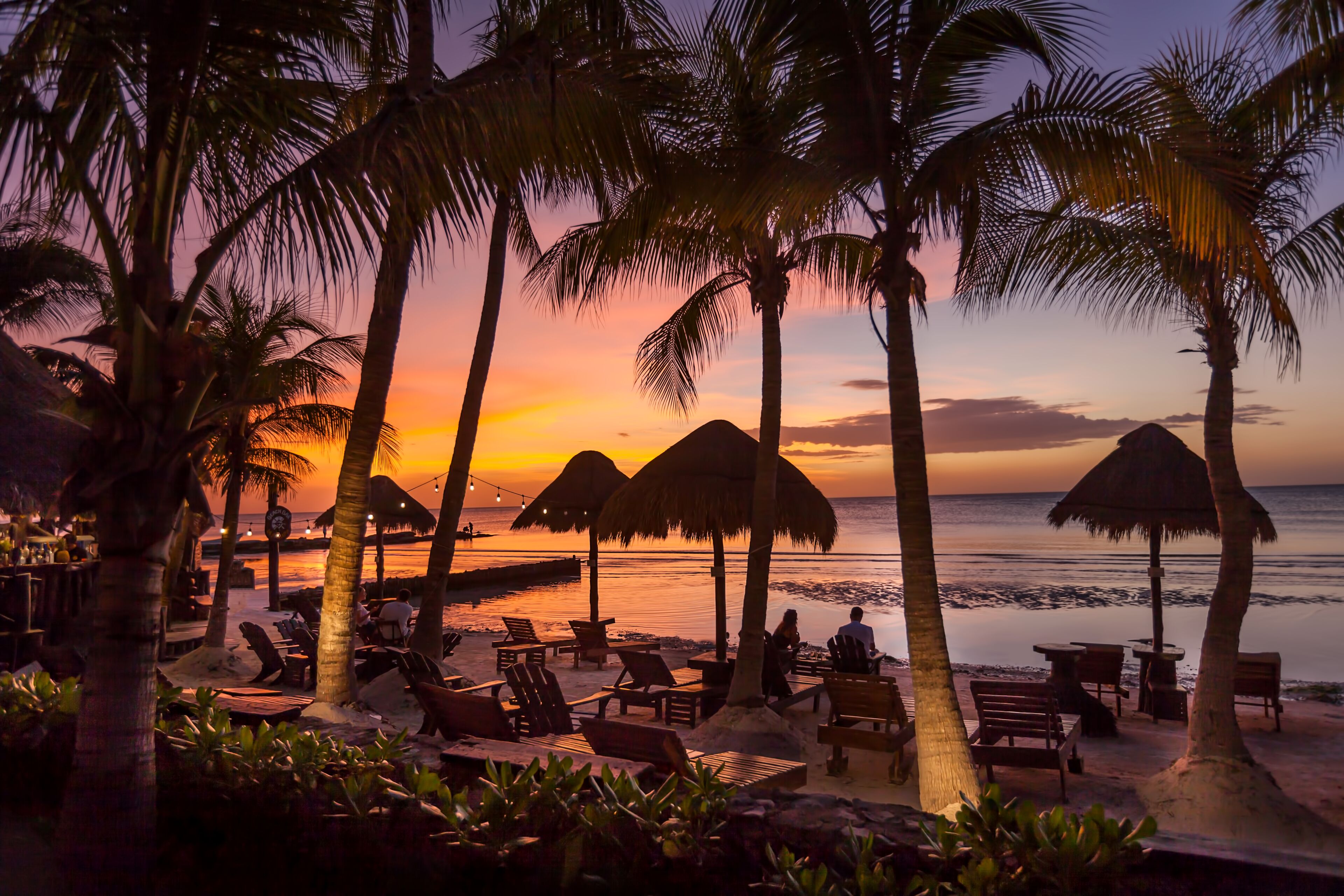 Beachfront Hotel La Palapa