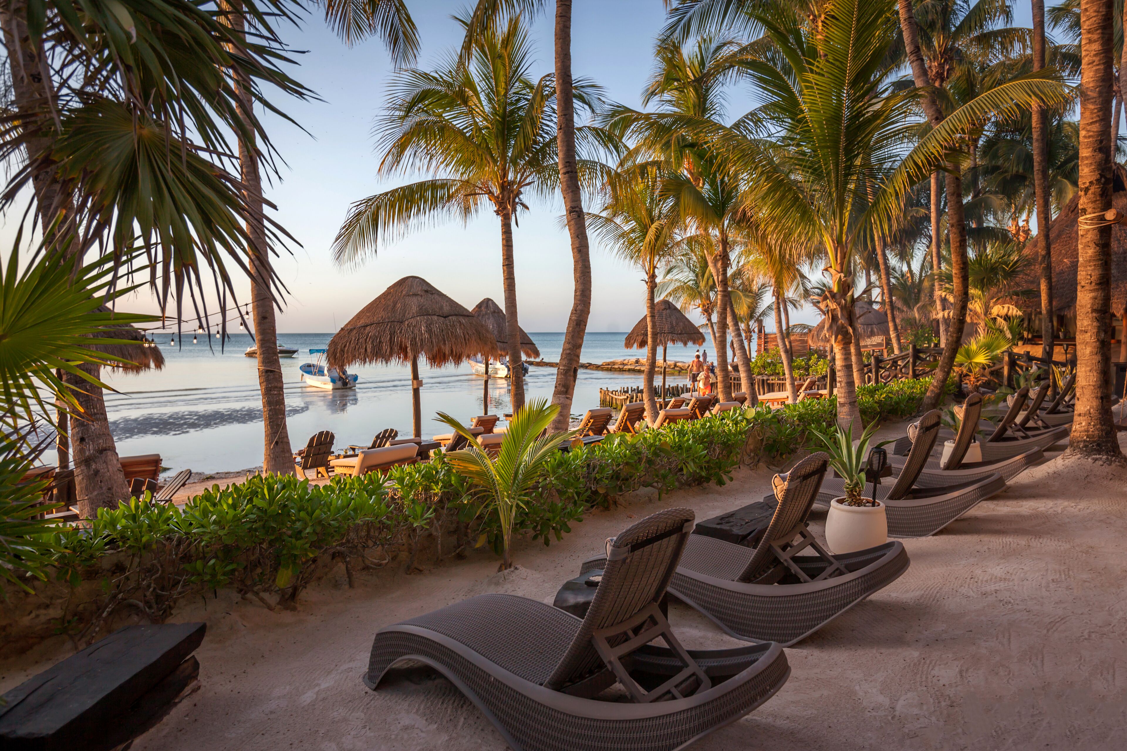 Beachfront Hotel La Palapa