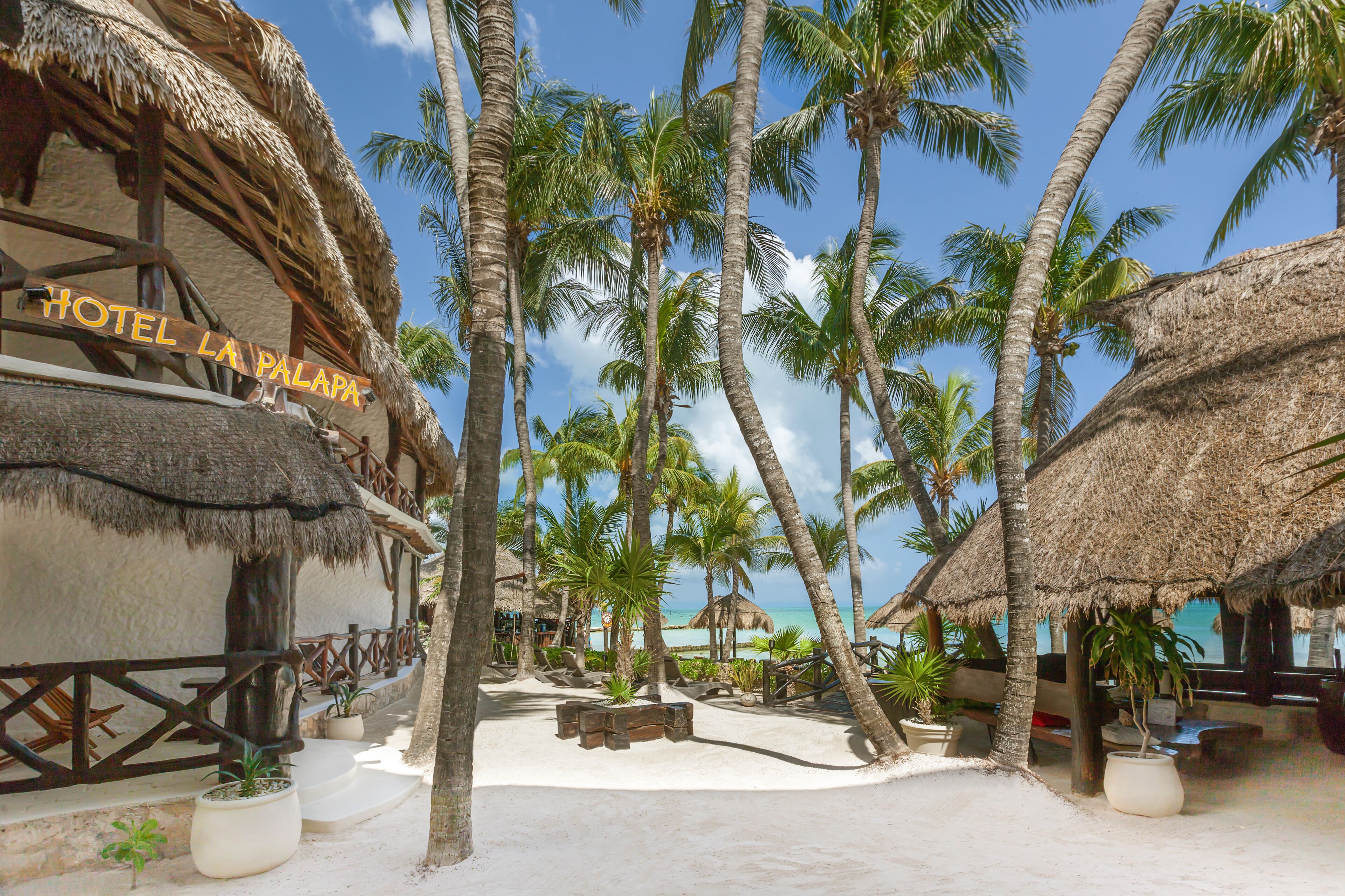 Beachfront Hotel La Palapa