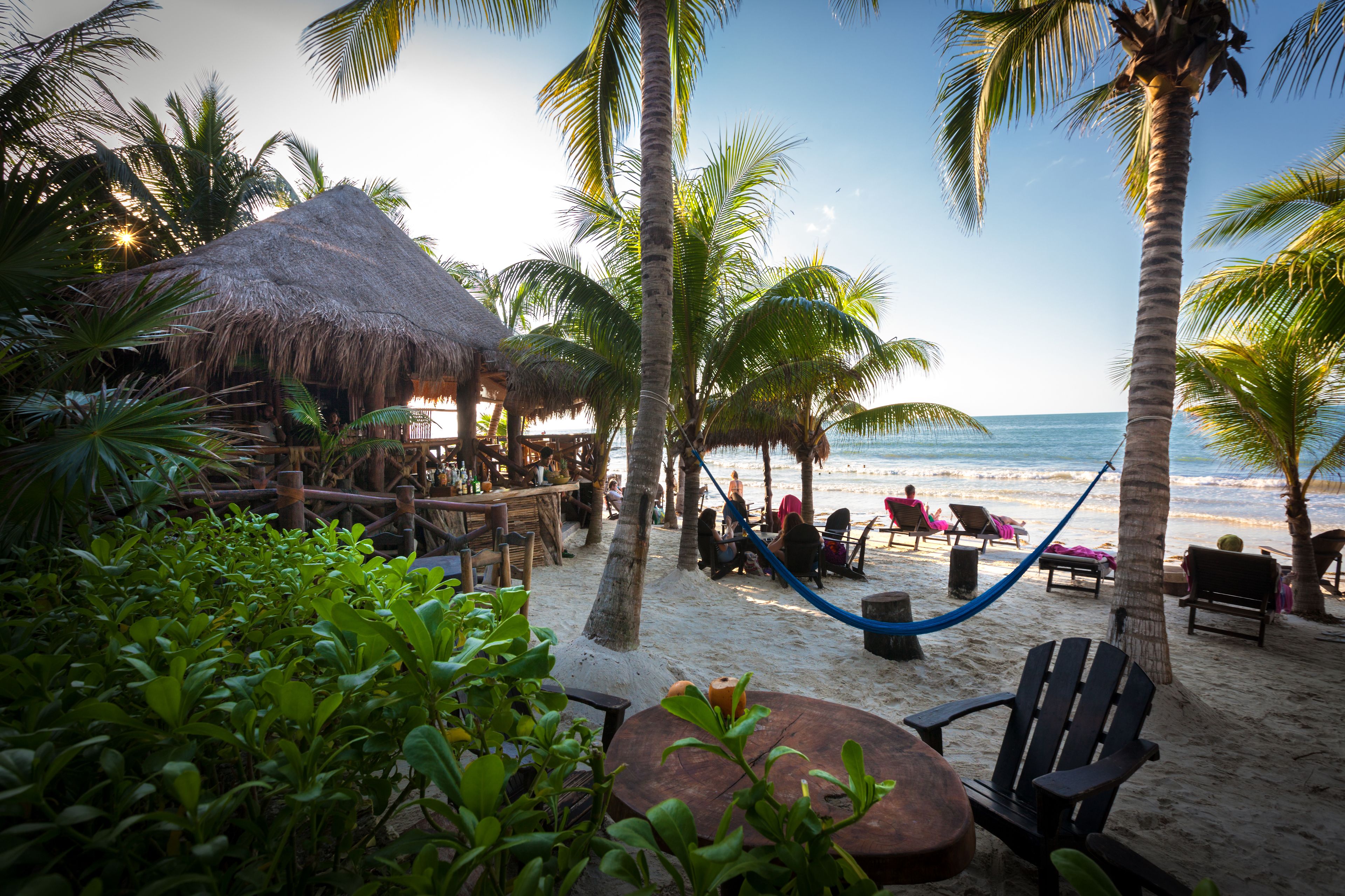 Beachfront Hotel La Palapa