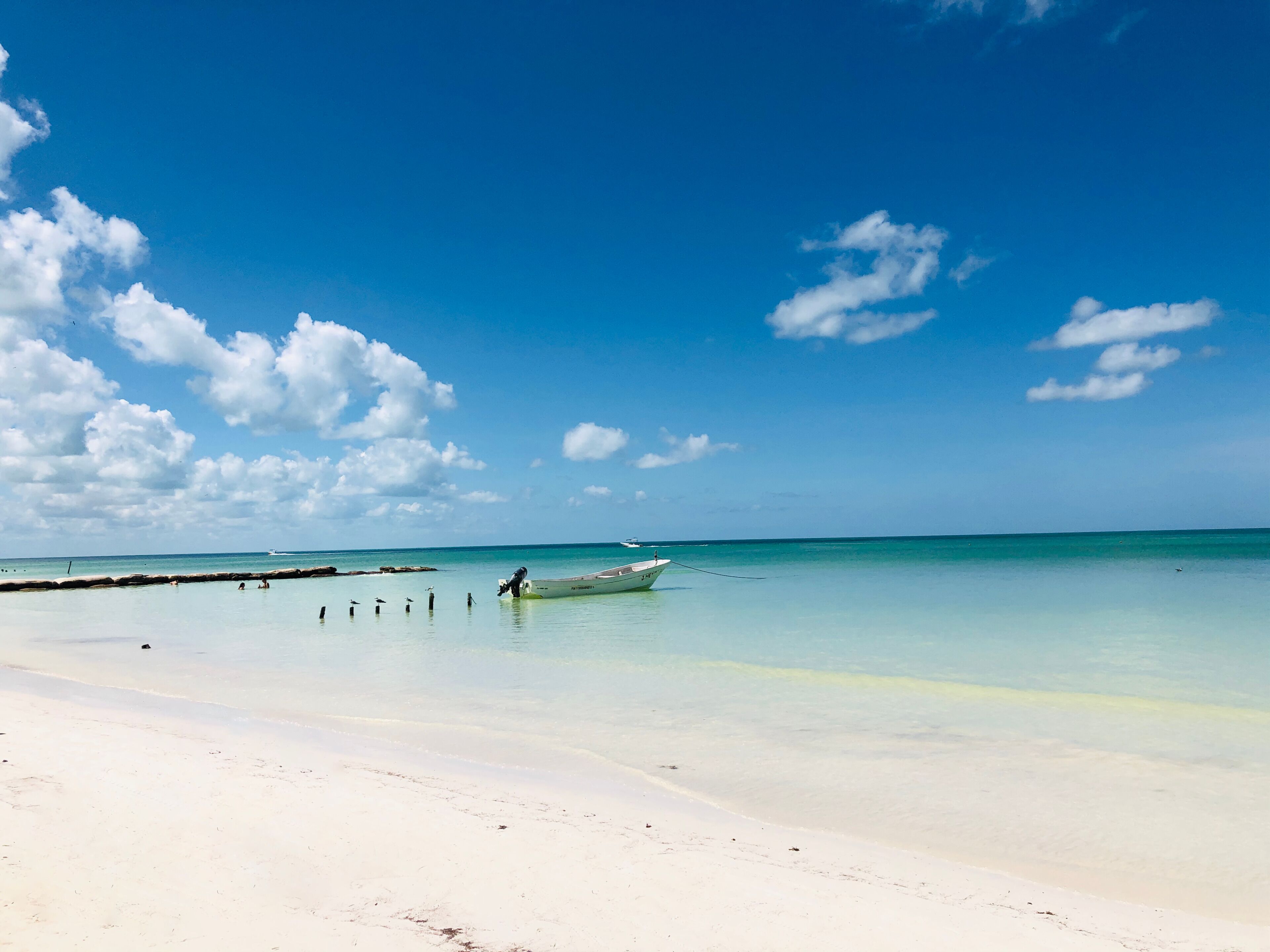 Beachfront Hotel La Palapa