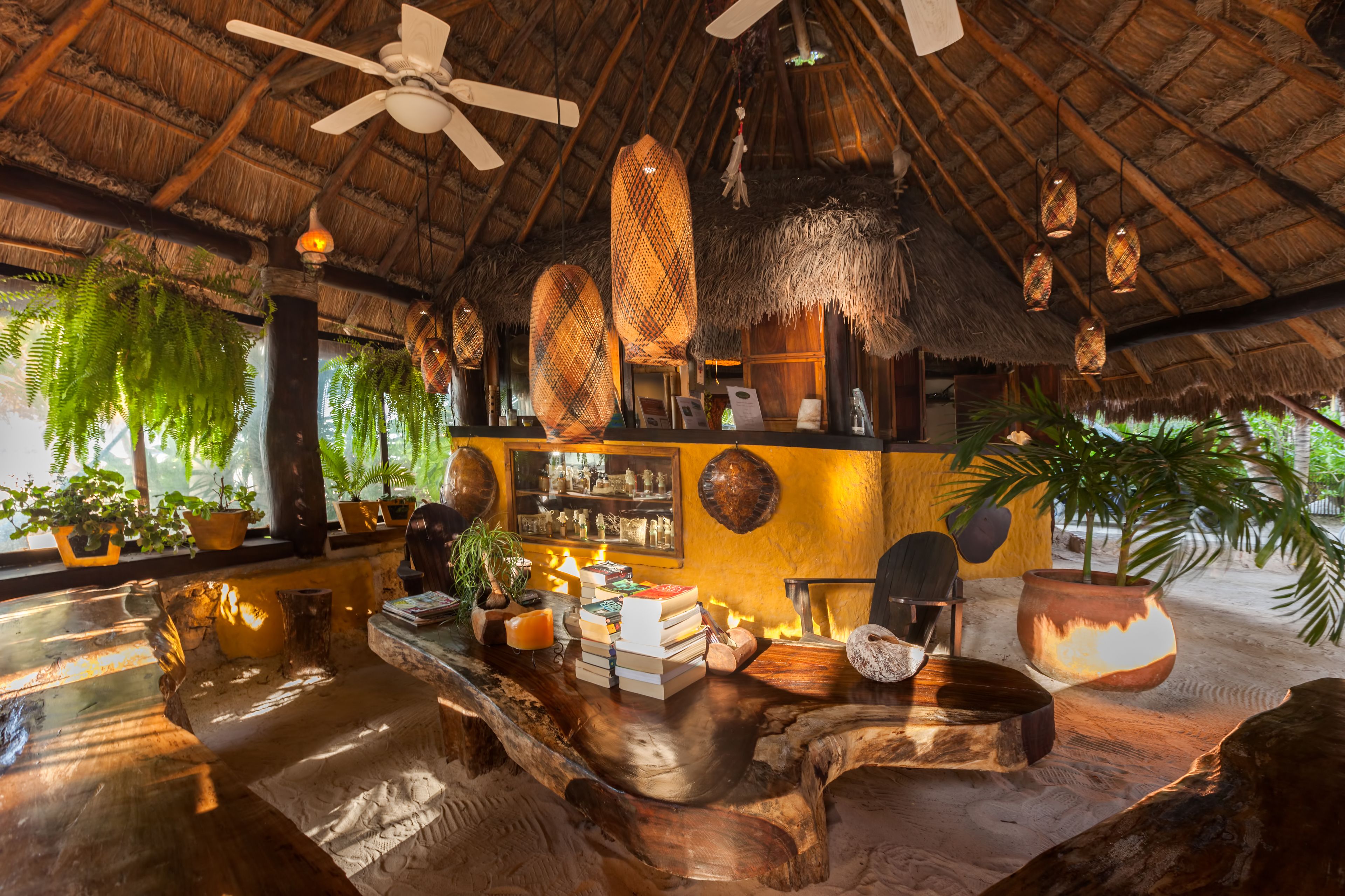 Beachfront Hotel La Palapa