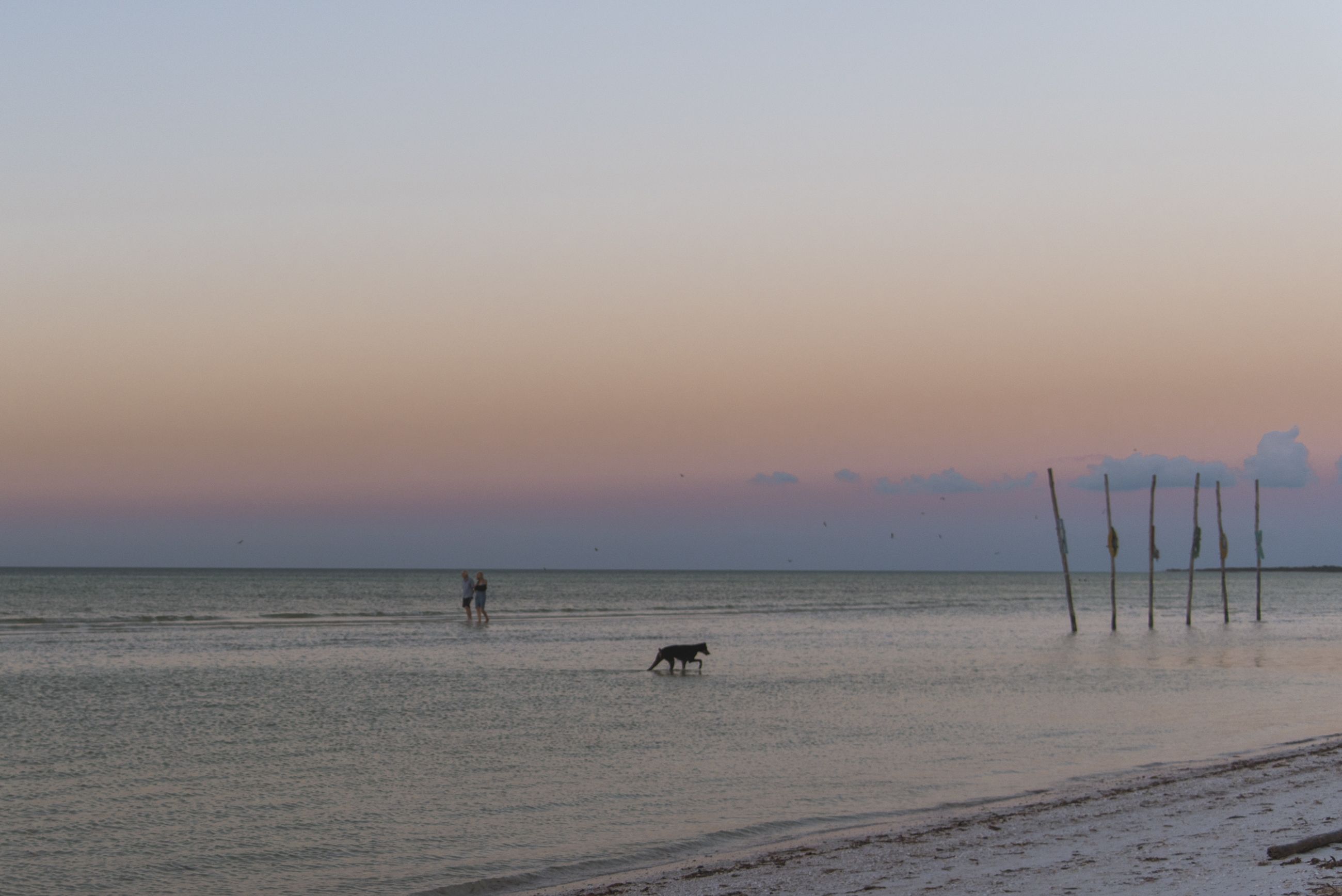 Blue Holbox Hotel