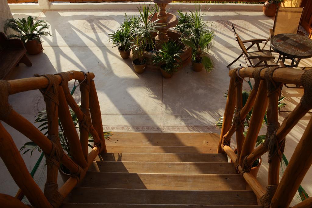 Casa Lupita