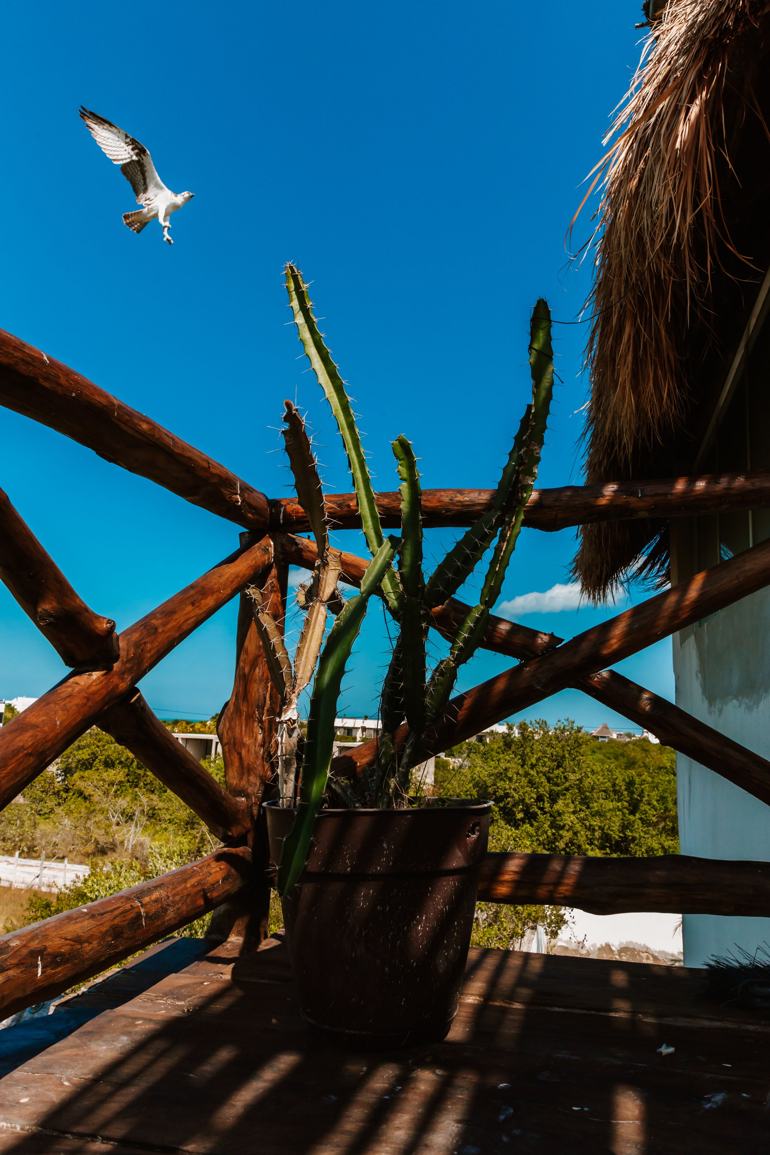 Casa Poeta Punta Cocos