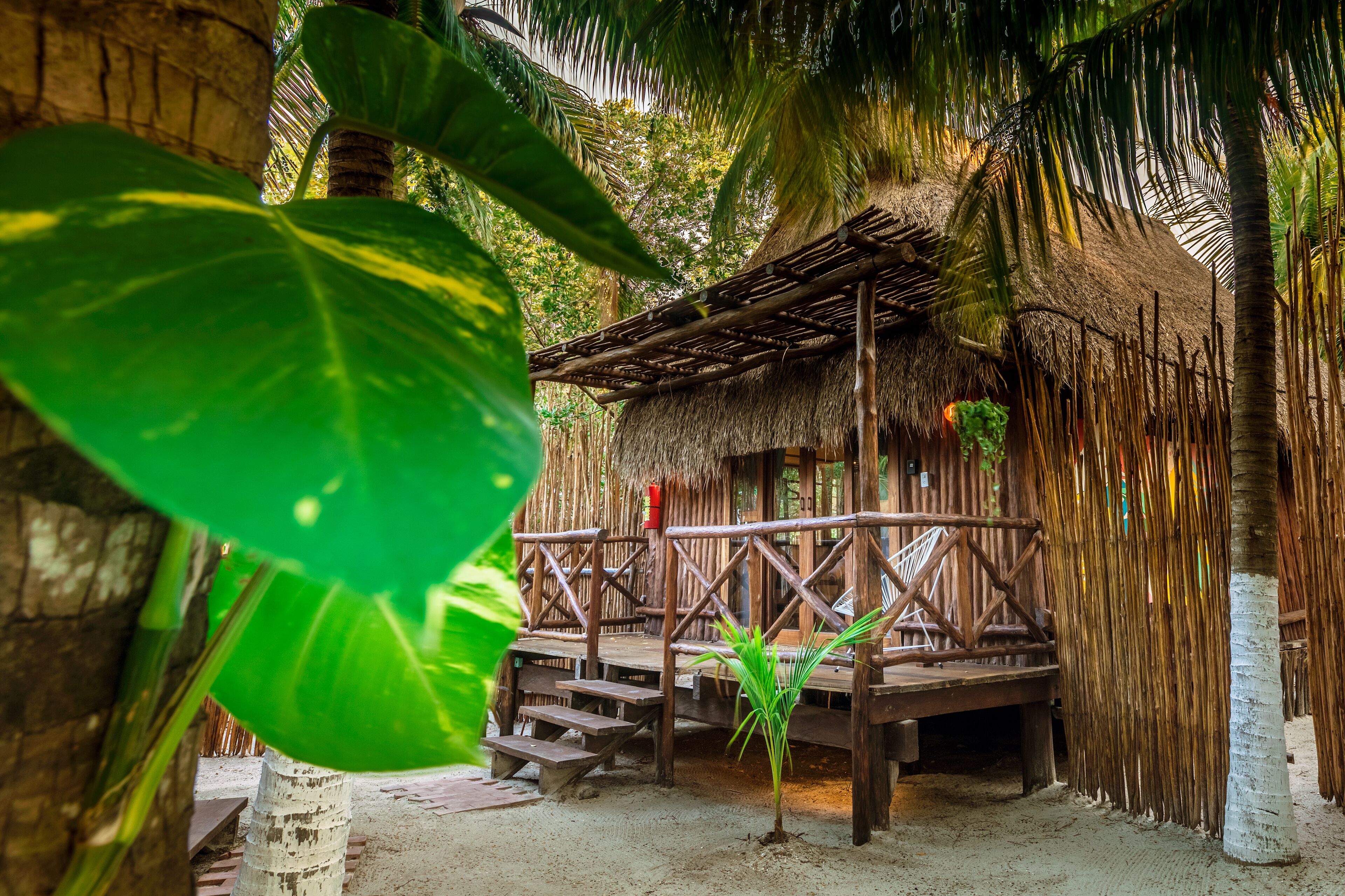 Eco Cabañas Laak Holbox