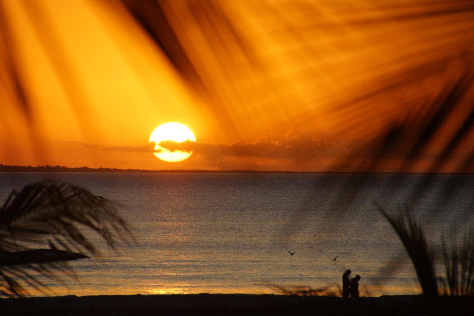 Holbox Apartments