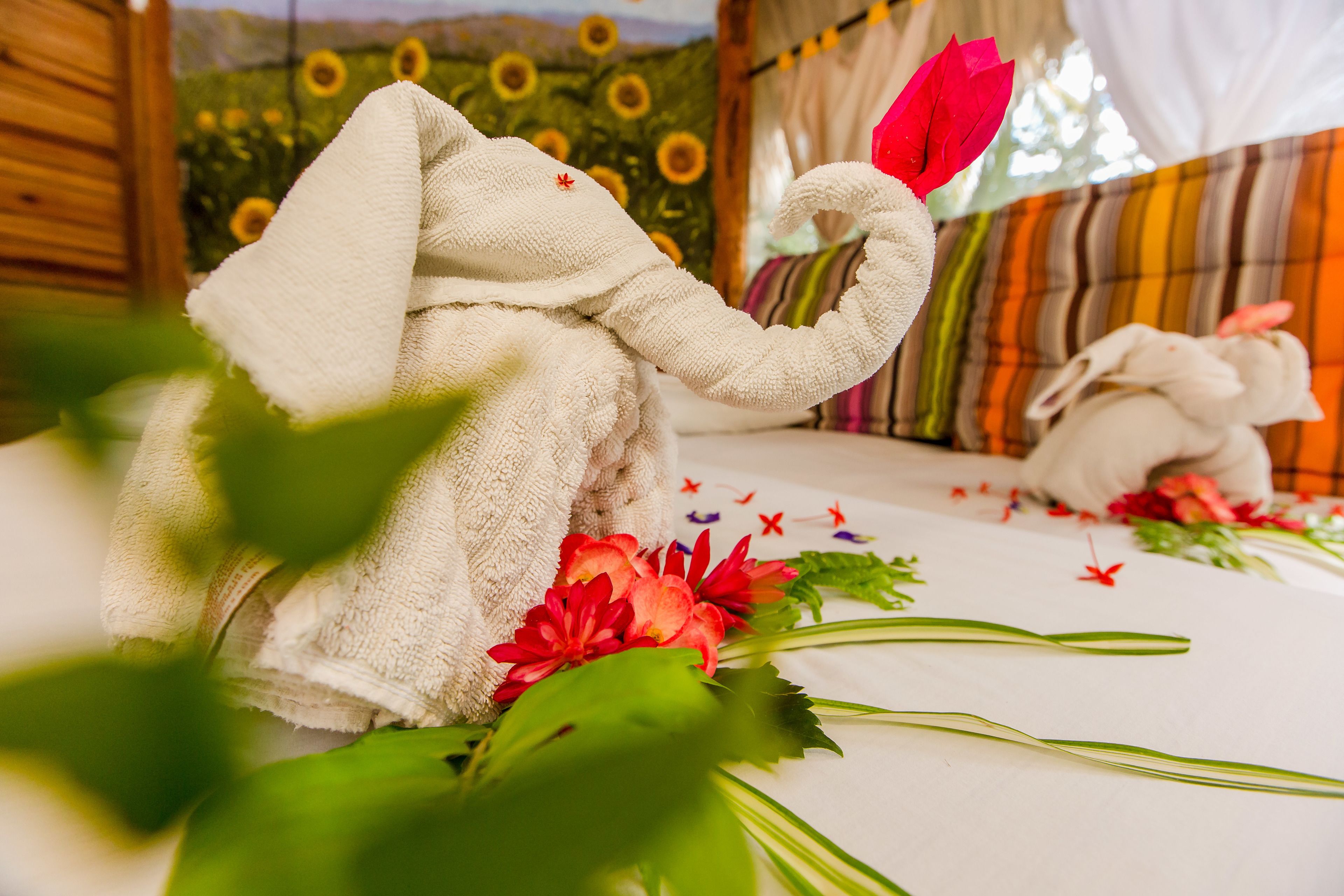 Holbox Cabanas Ida y Vuelta