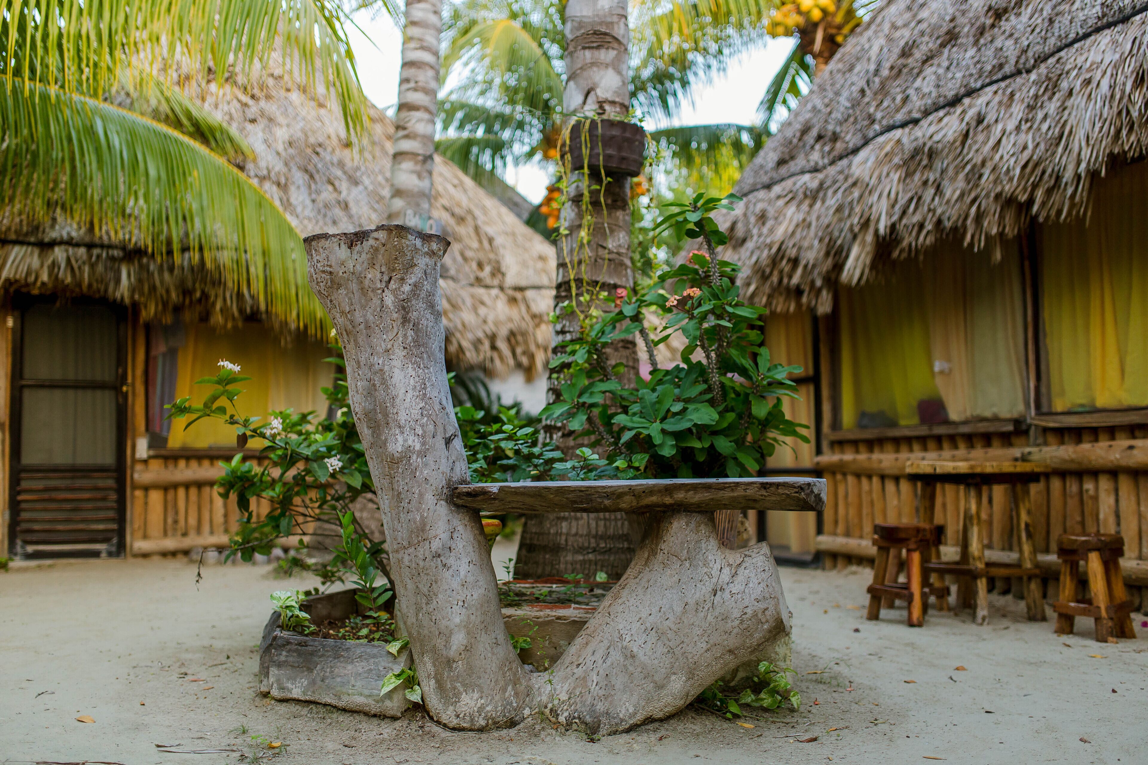 Holbox Cabanas Ida y Vuelta