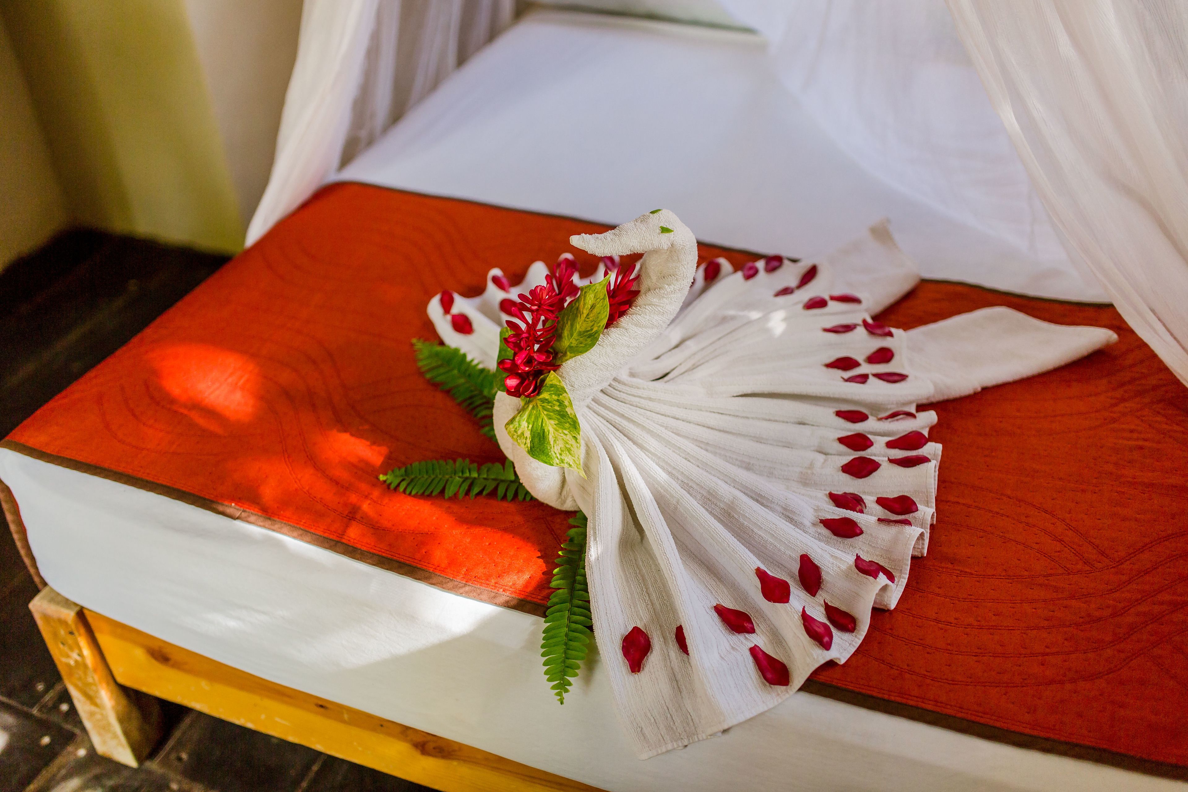 Holbox Cabanas Ida y Vuelta