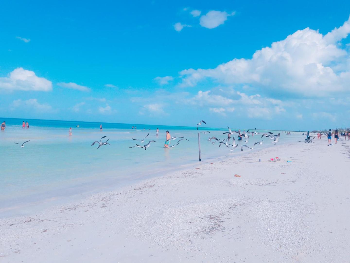 Hostel La Isla Holbox