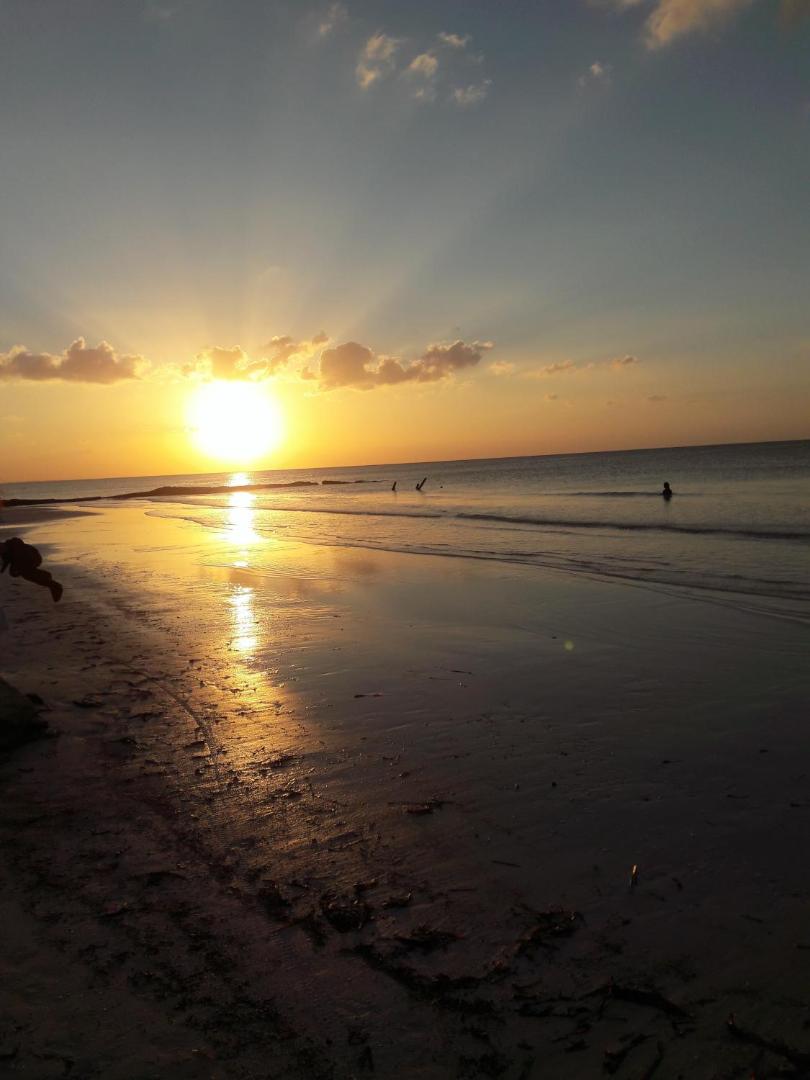 Hostel La Isla Holbox