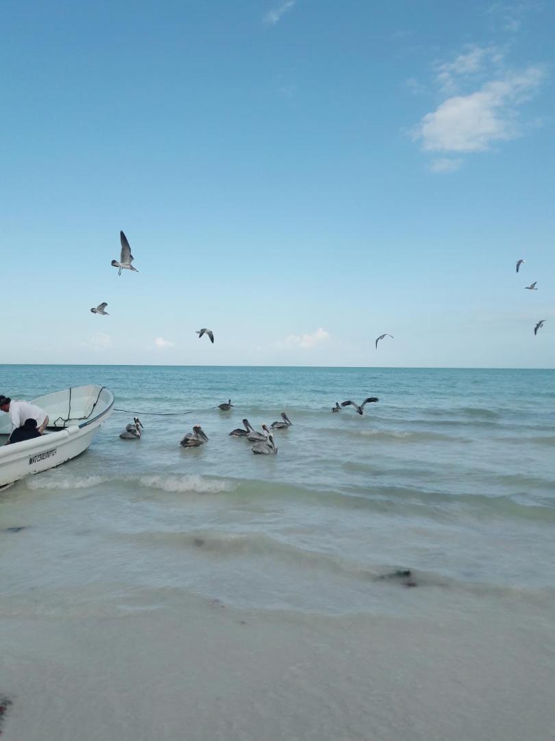 Hostel La Isla Holbox