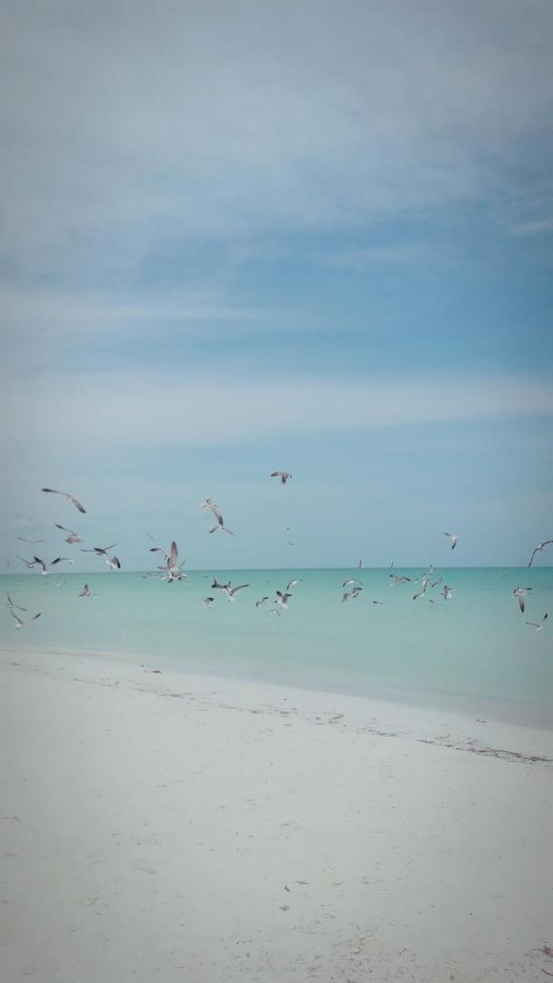 Hostel La Isla Holbox