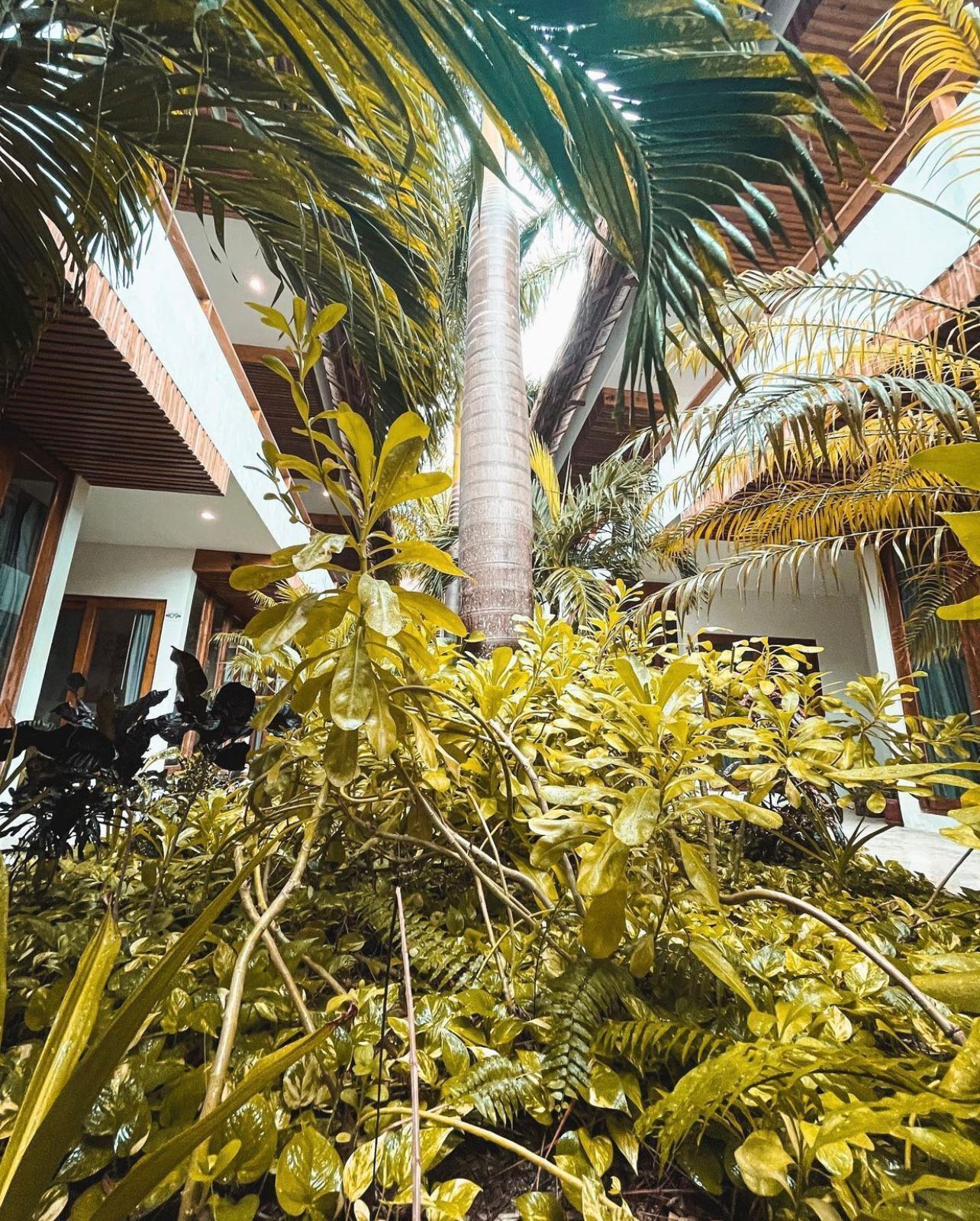 Hotel Casa Margot