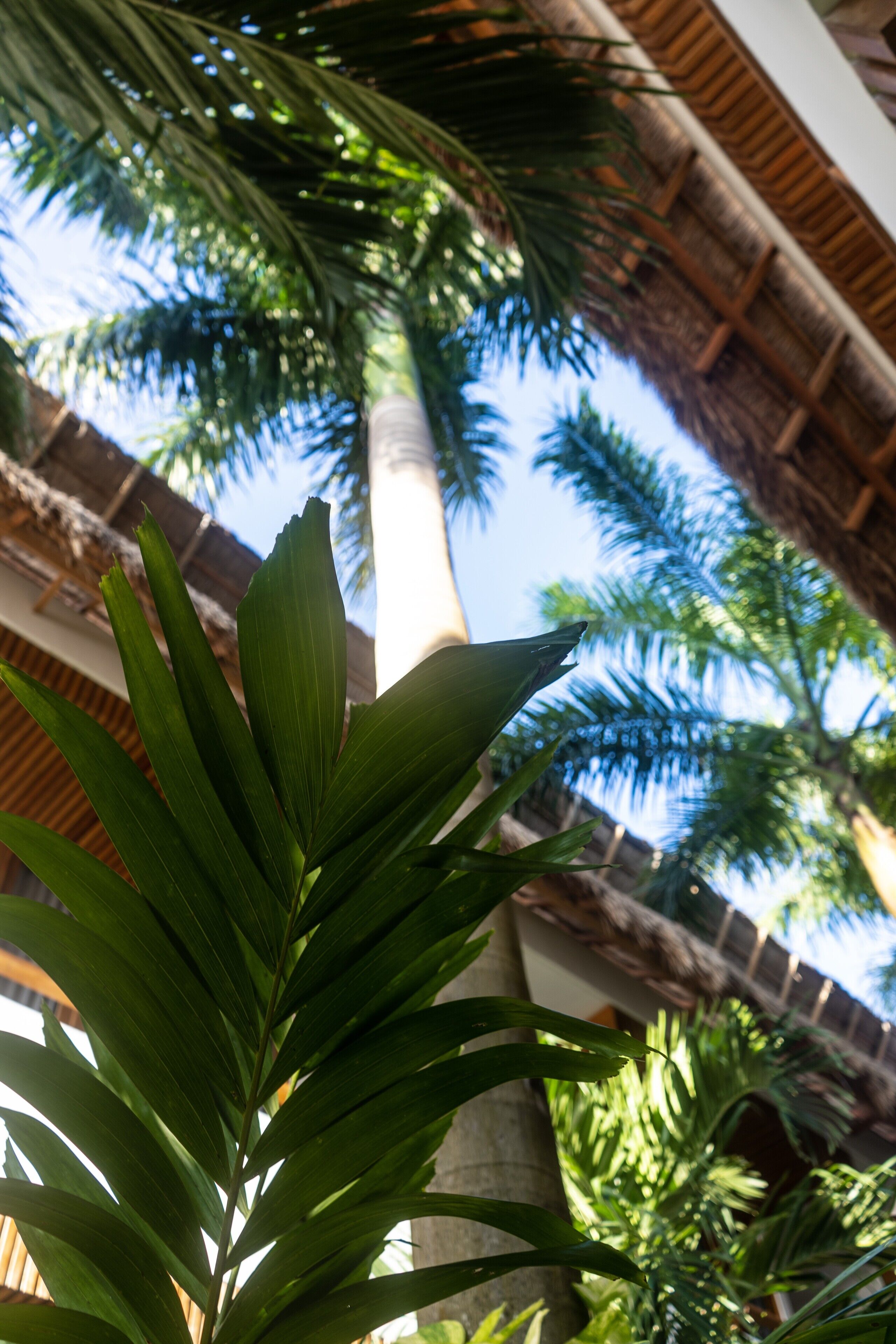 Hotel Casa Margot