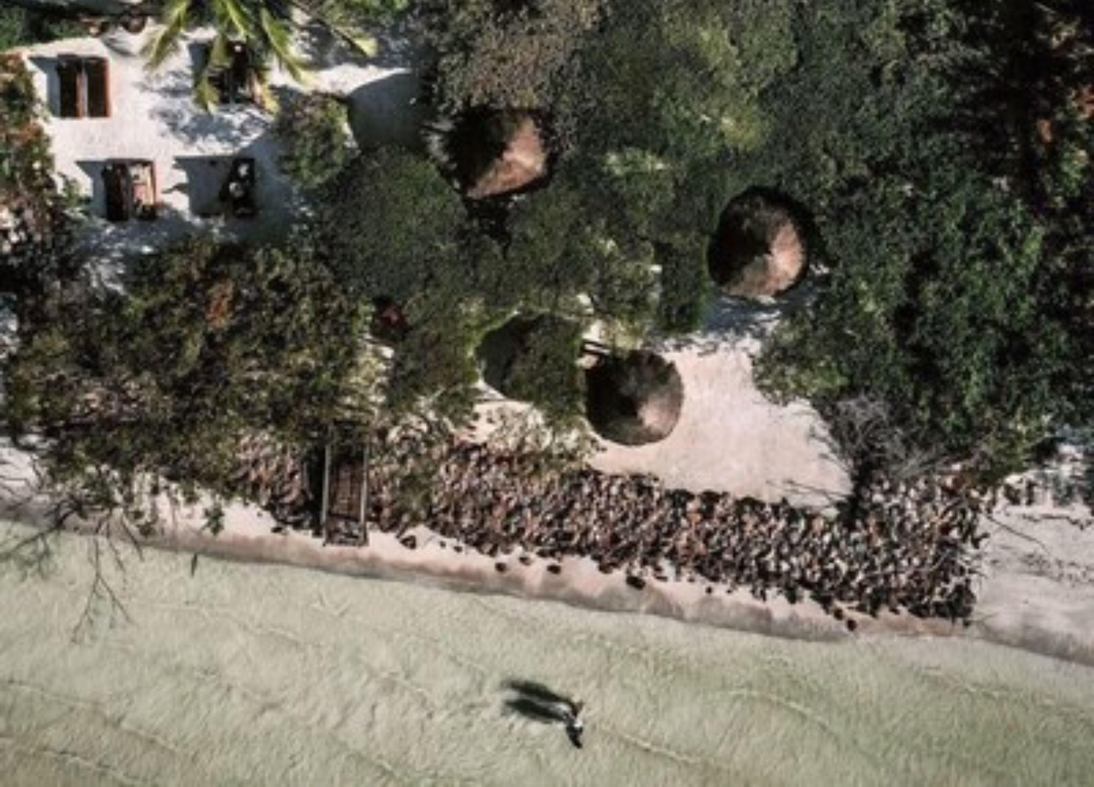 Hotel Casa Punta Coco