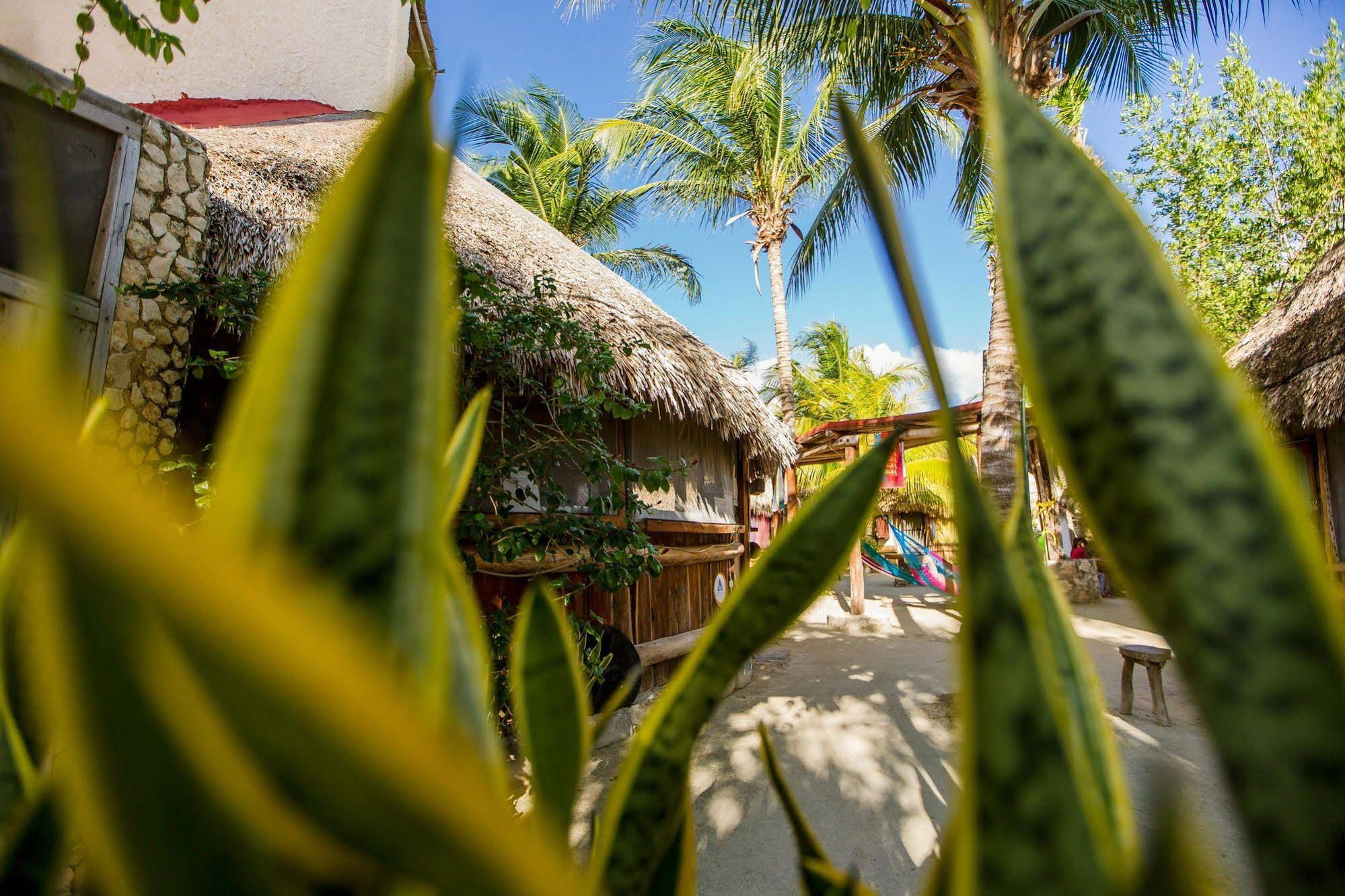 Holbox Camping Ida y Vuelta
