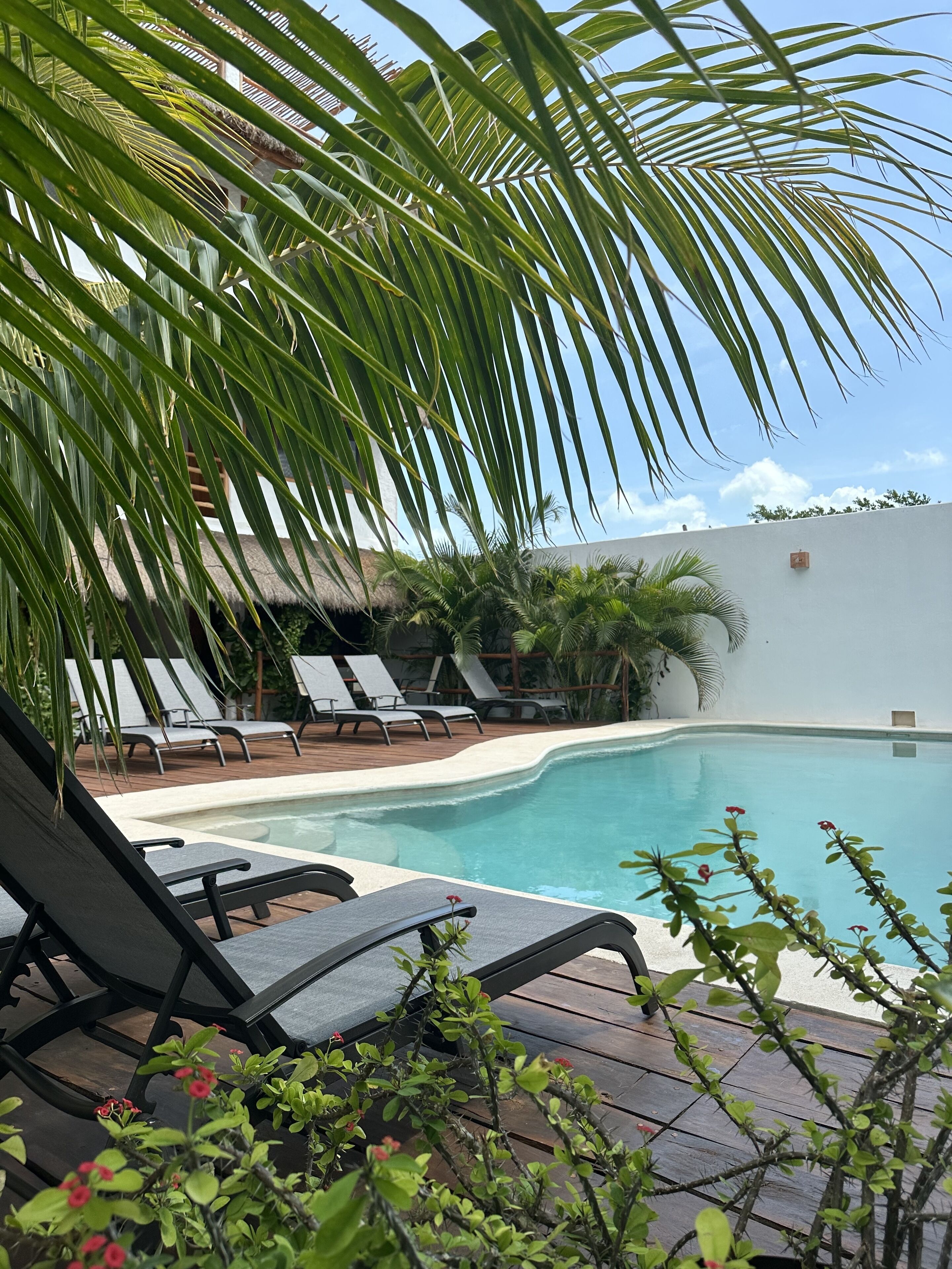 La Casa Del Sol Holbox