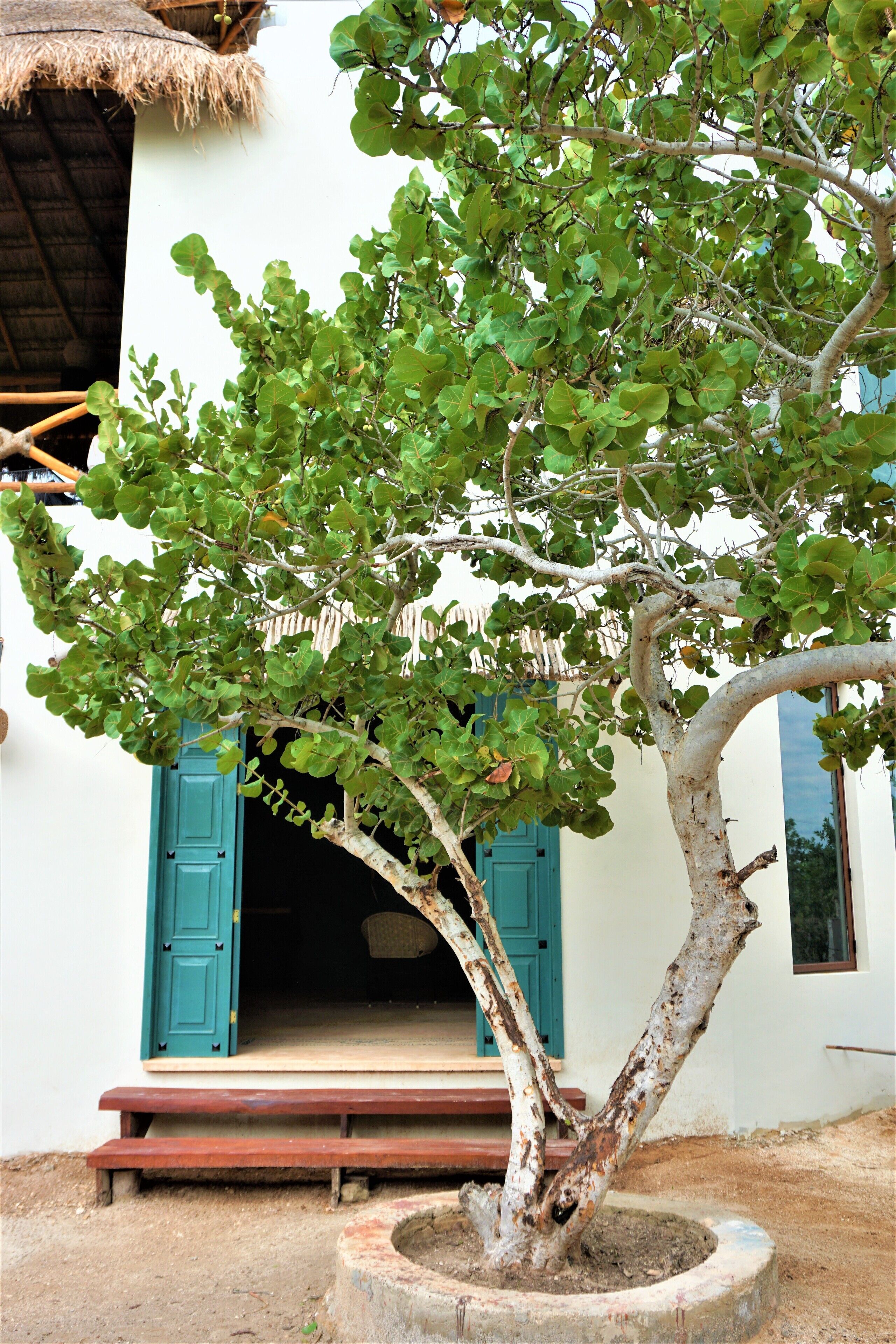 La Puerta Azul Beachfront Adults Only