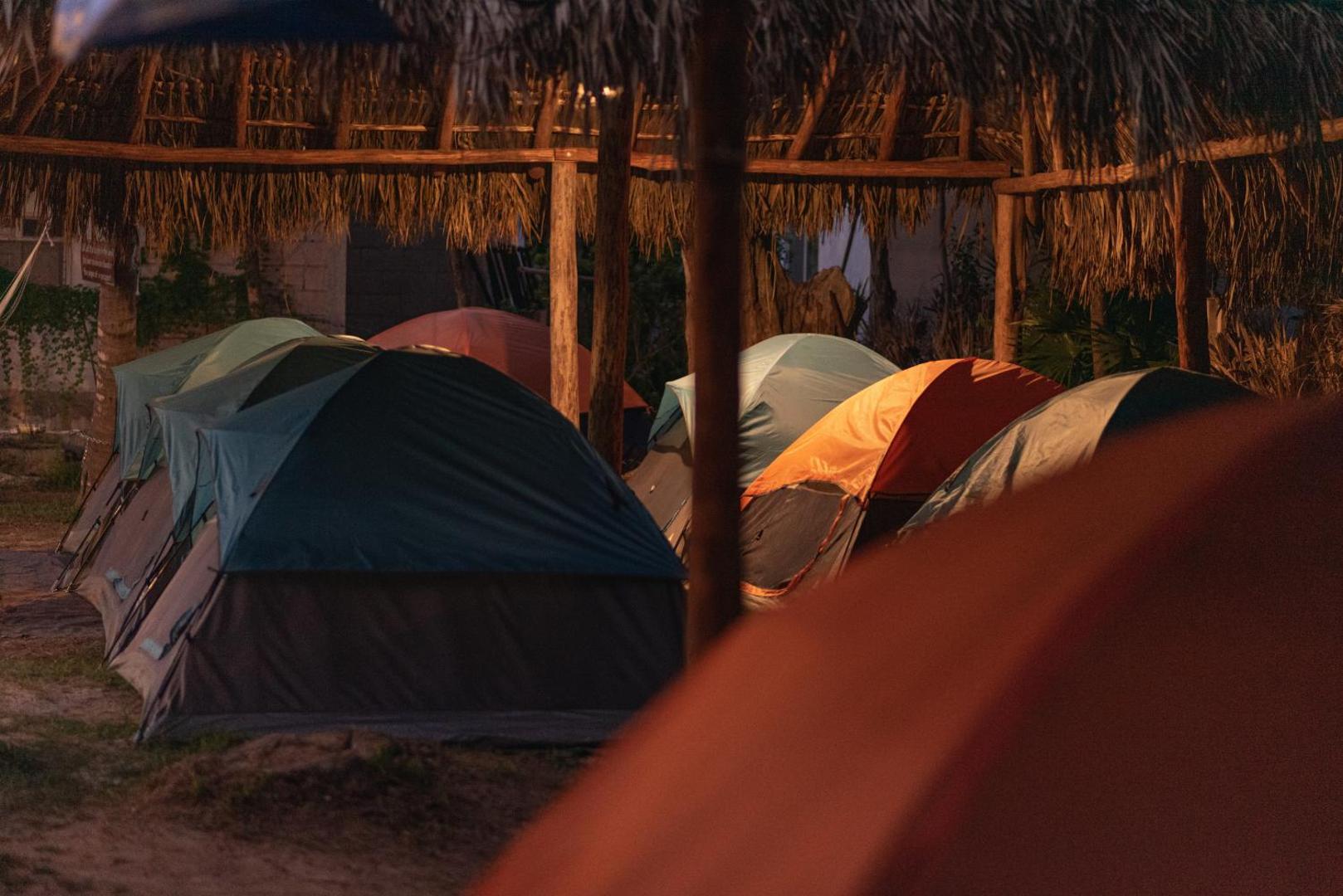 Mapache Hostel
