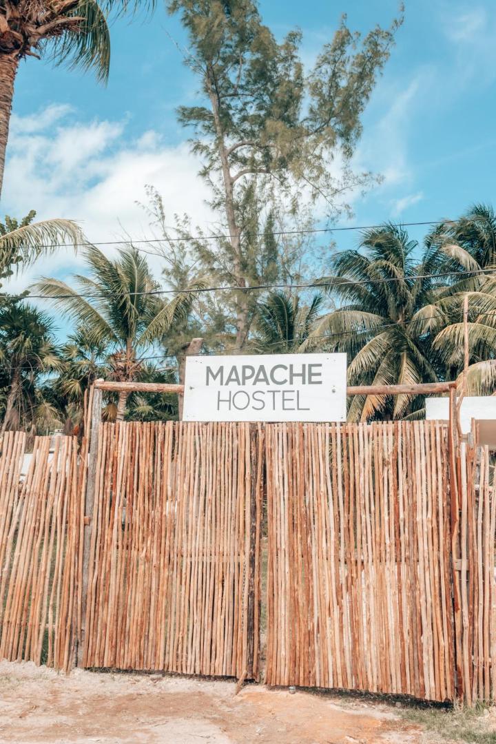 Mapache Hostel