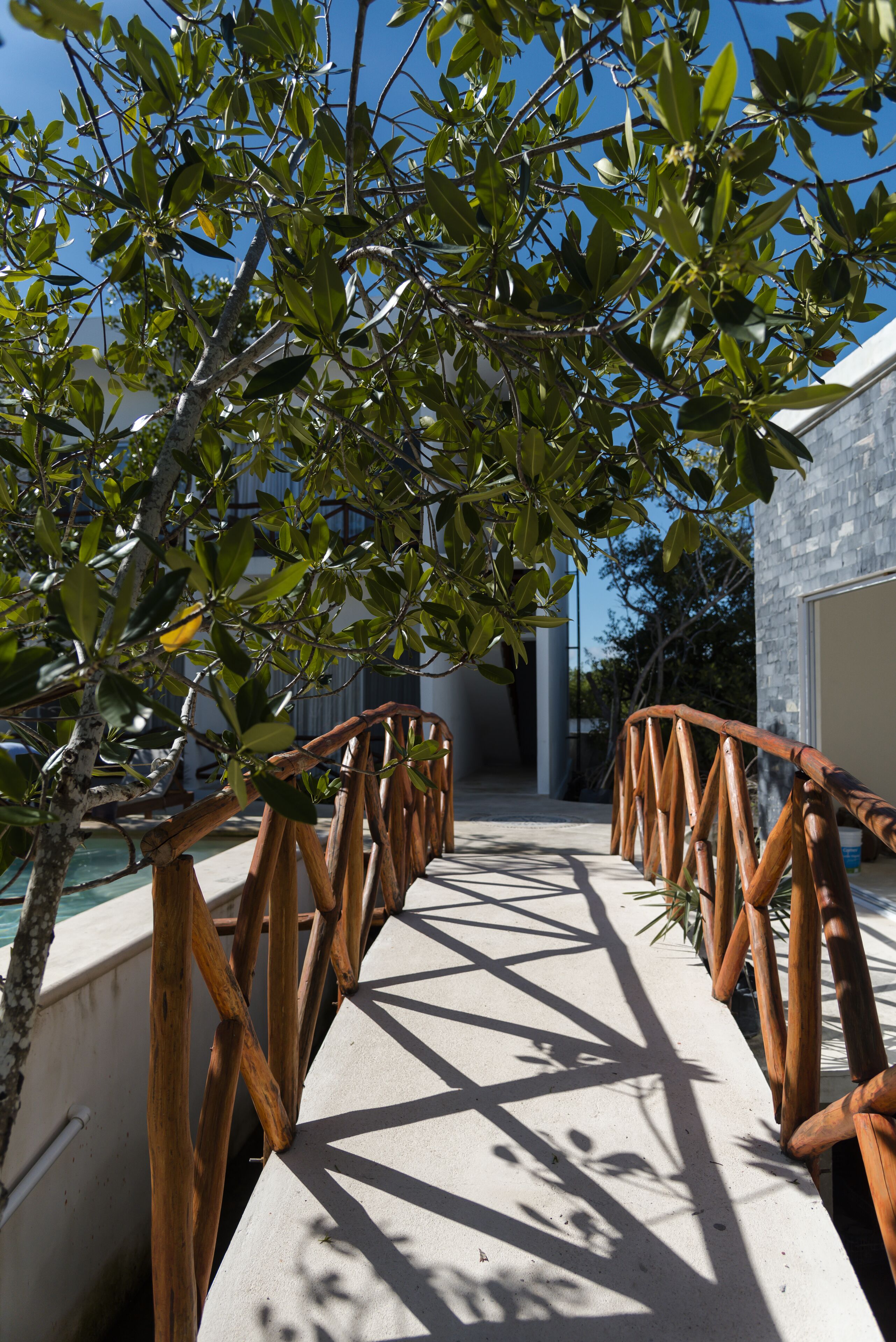 Sanyama Holbox