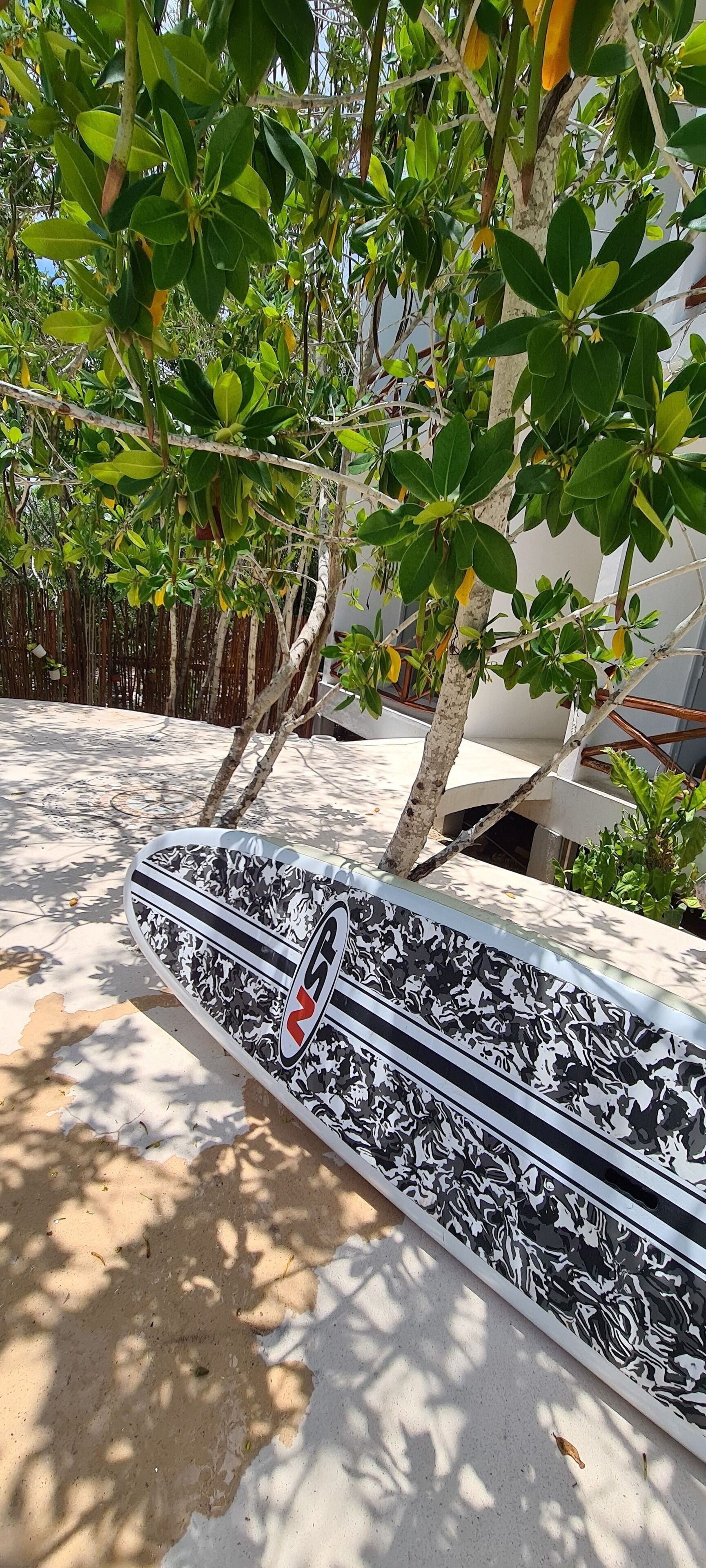 Sanyama Holbox
